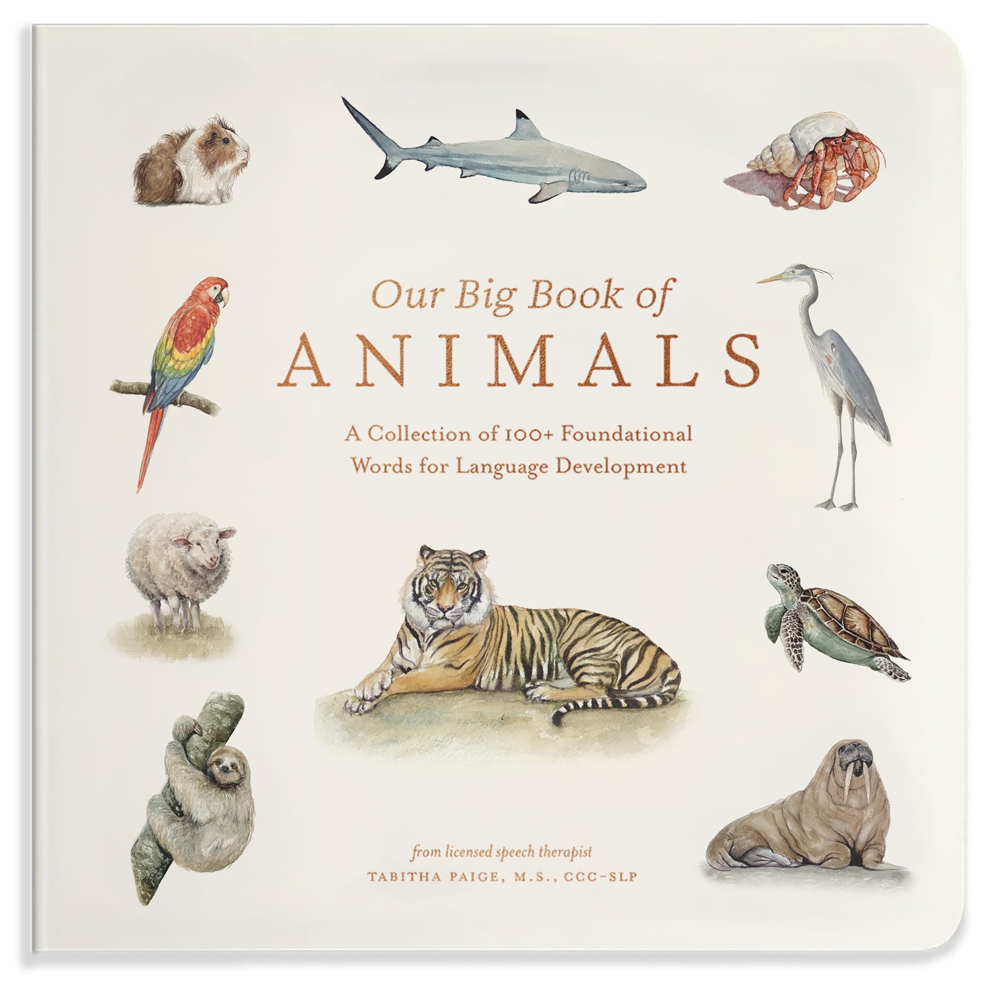 Libro: Our Big Book of Animals: First 100 Animal Words for Language Development, including Farm, Jungle, Pets, Bugs, and More: 17 (Tabitha Paige Children's Book Series)