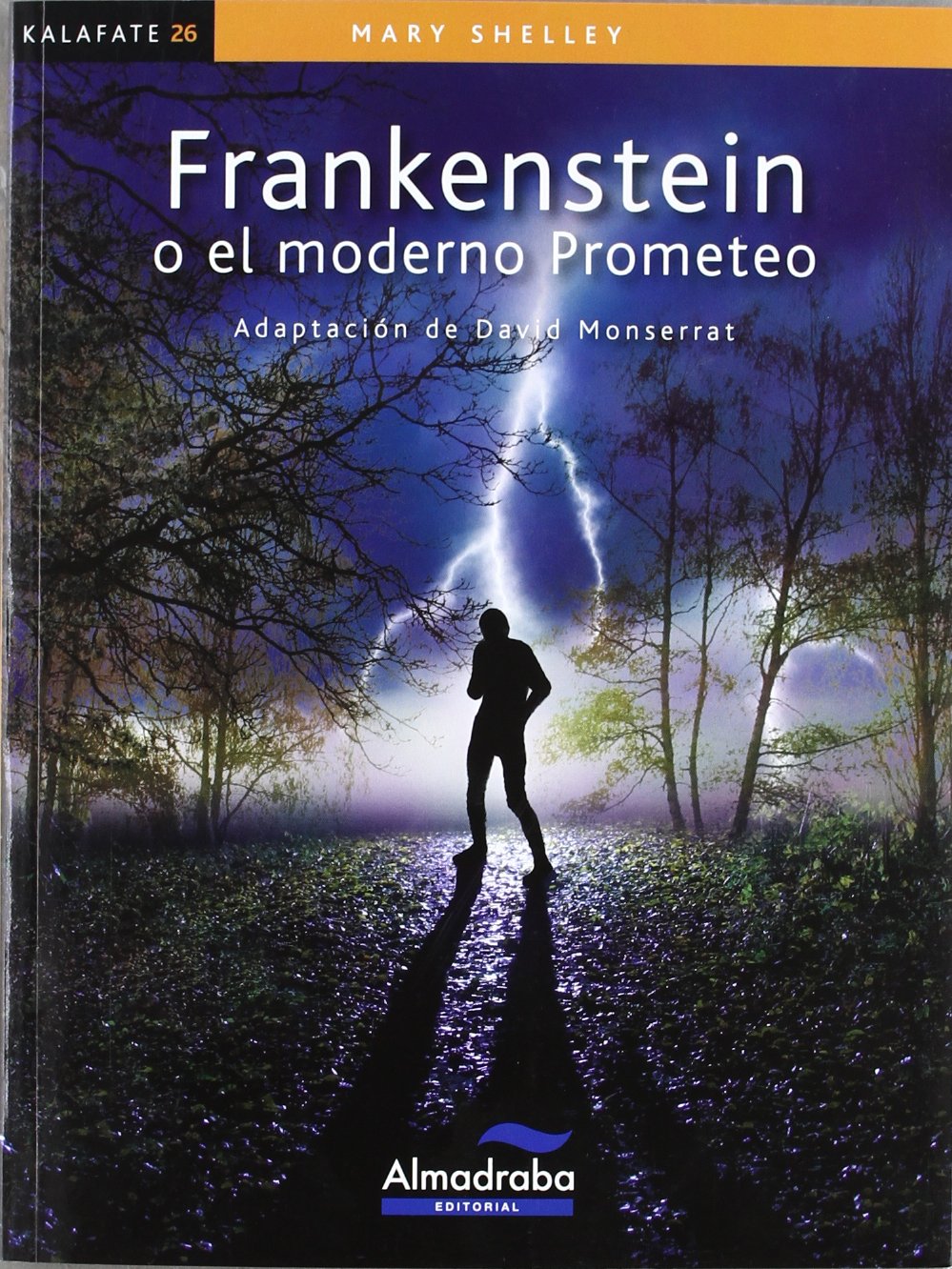 Libro: Frankenstein o el moderno Prometeo
