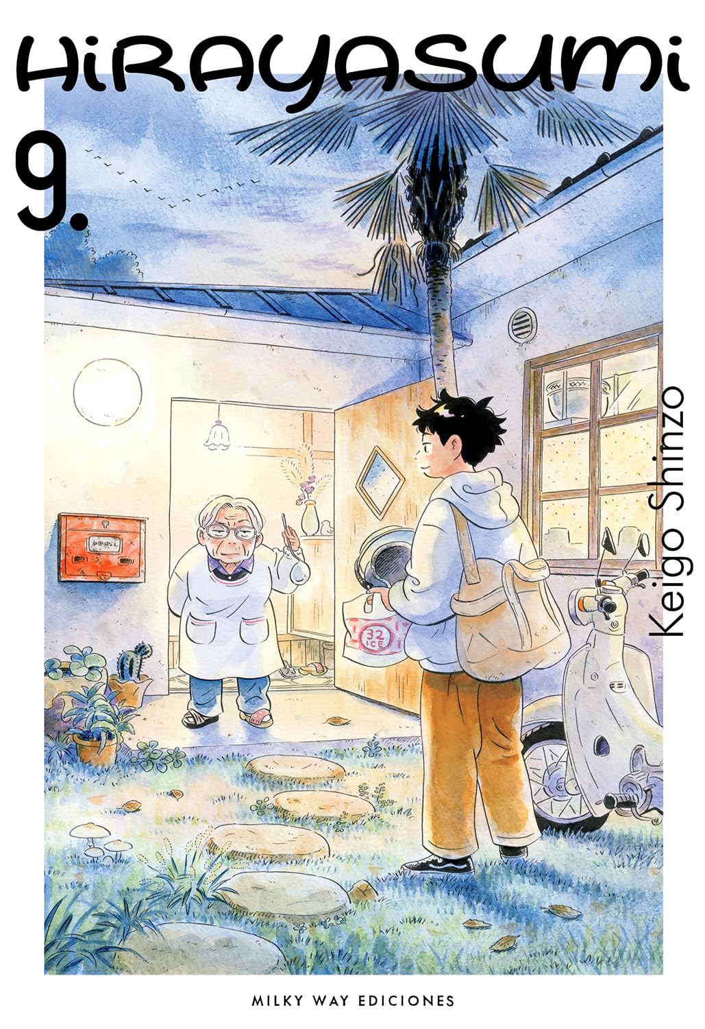 Libro: HIRAYASUMI, VOL. 9
