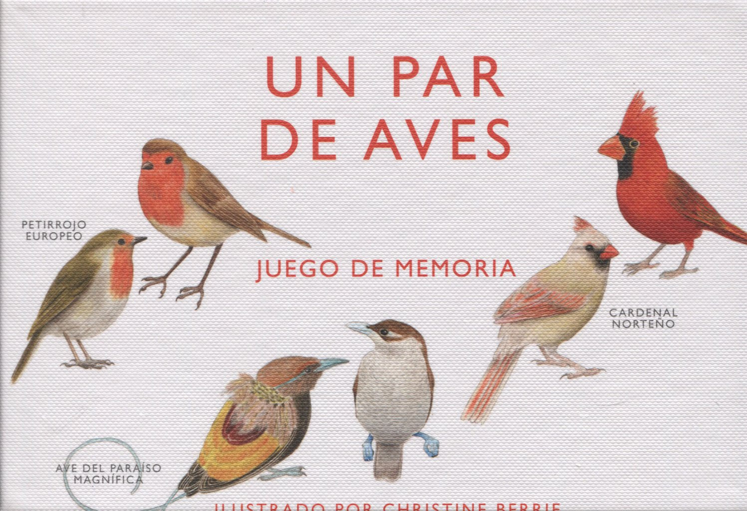 Libro: Un par de aves. Juego de memoria (SIN COLECCION)