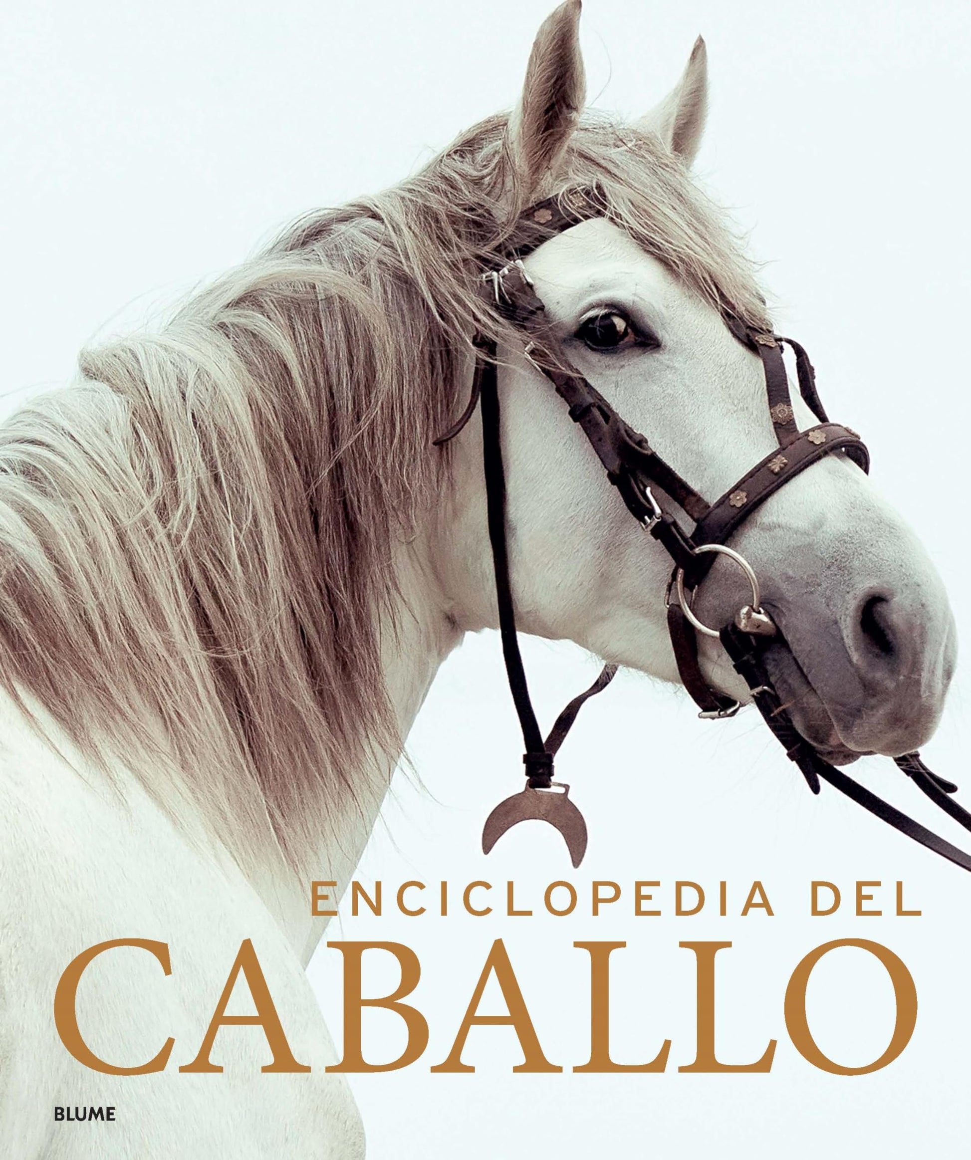 Libro: Enciclopedia del caballo (2023)