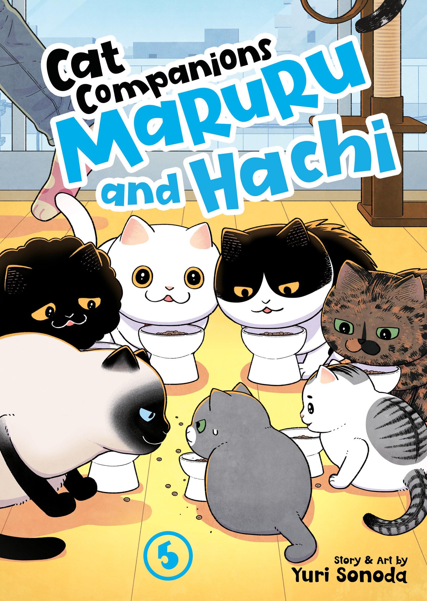 Libro: Cat Companions Maruru and Hachi Vol. 5