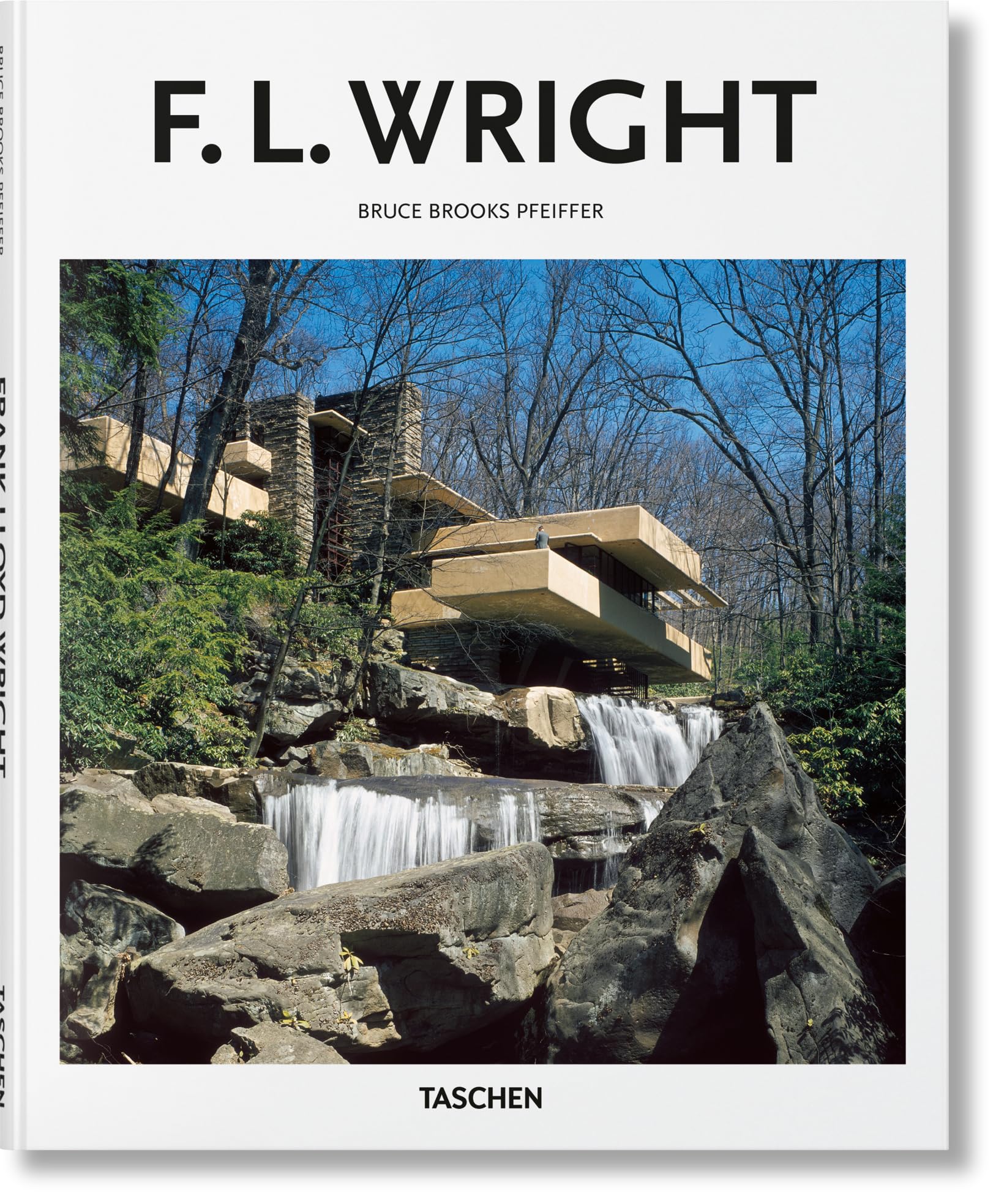 Libro: Wright (Basic Art)