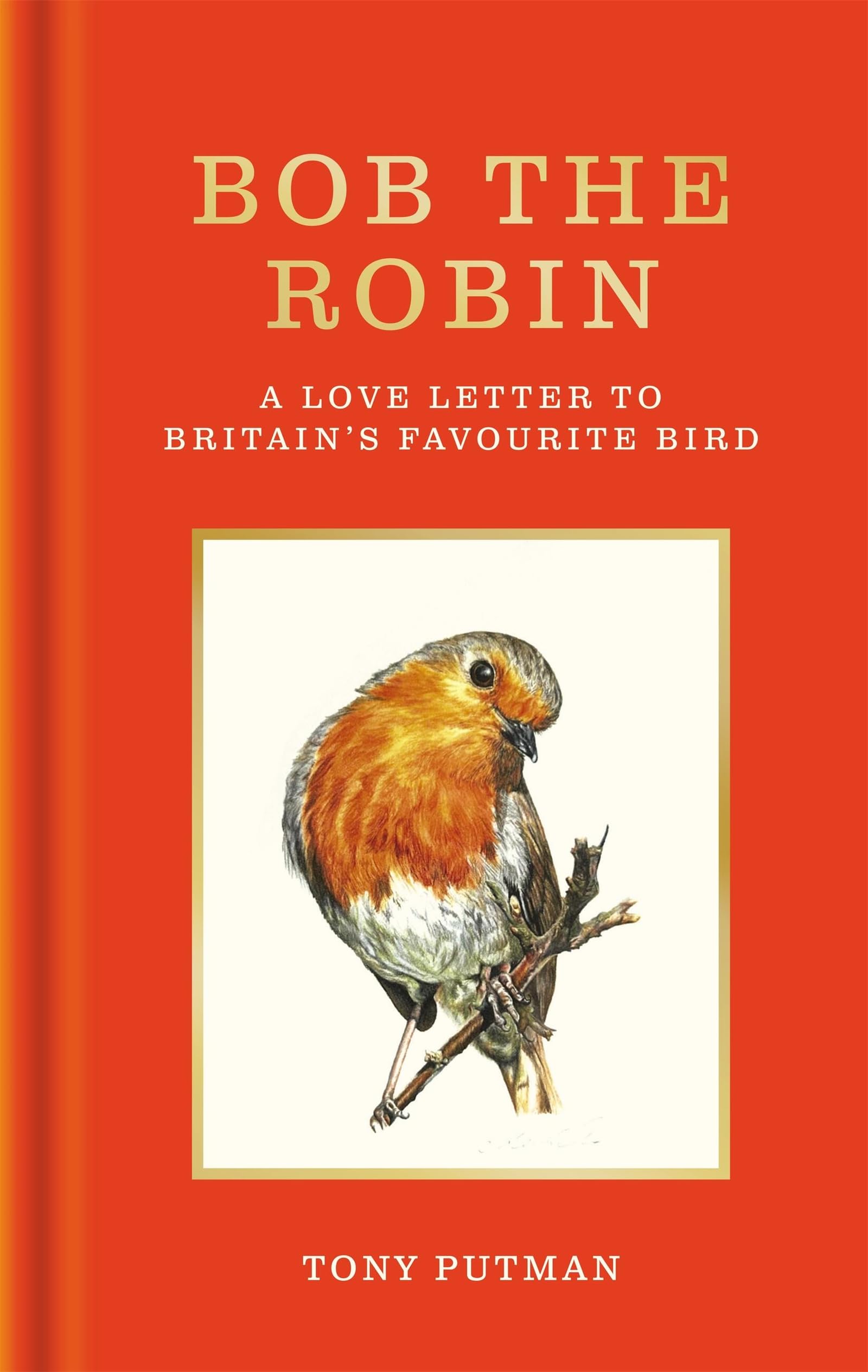 Libro: Bob the Robin: A true story of the friendship between one man and Britain's favourite garden bird (Bob the Robin Series)