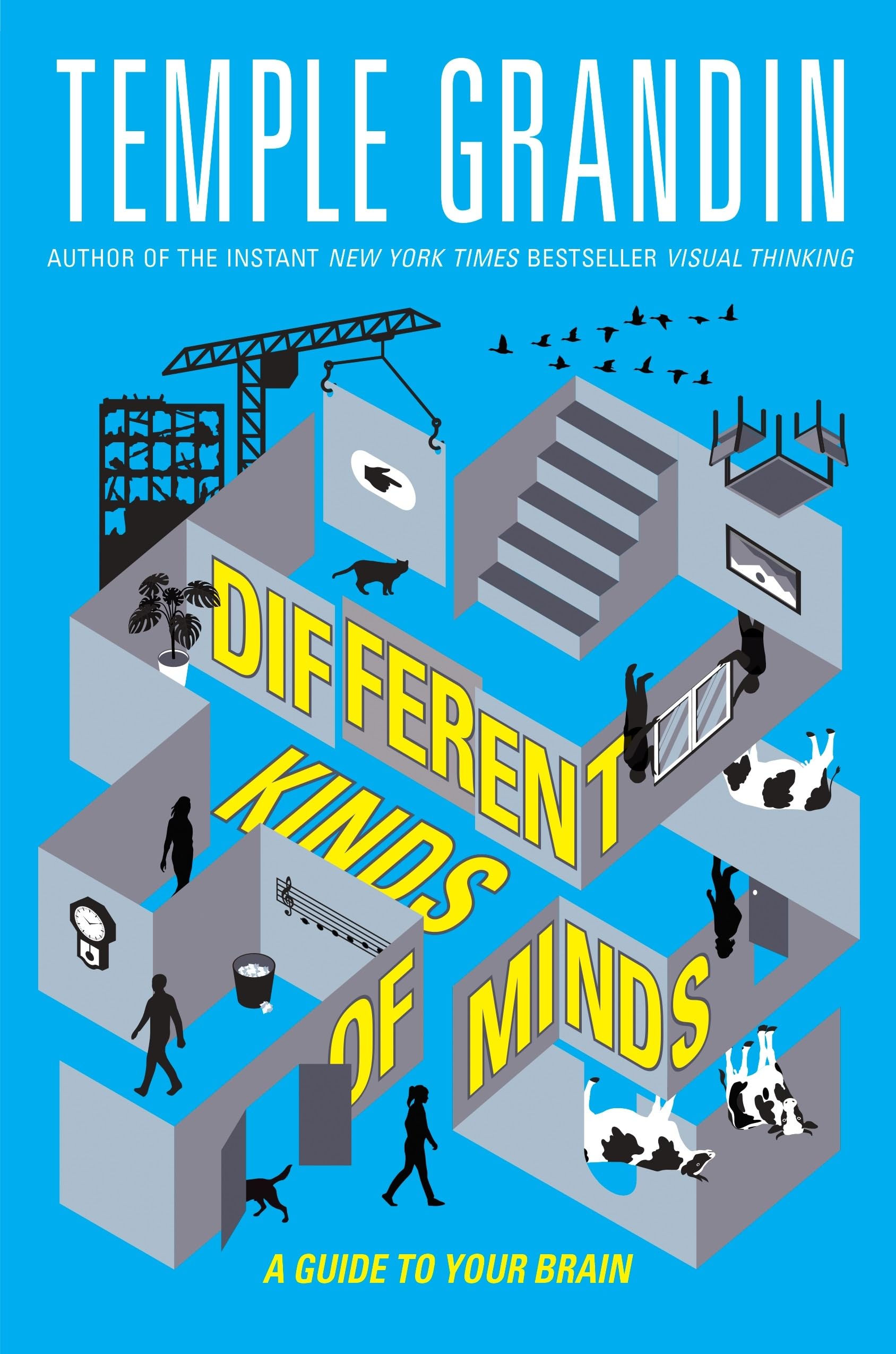 Libro: Different Kinds of Minds: A Guide to Your Brain