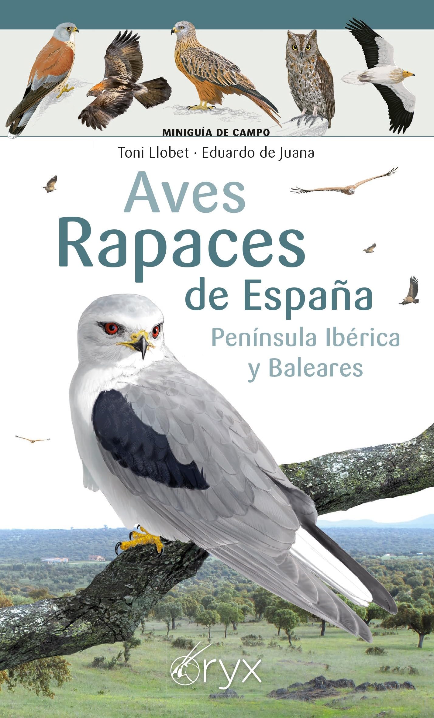 Libro: Aves Rapaces De España, Peninsula Iberica Y Baleares (Miniguía de campo)
