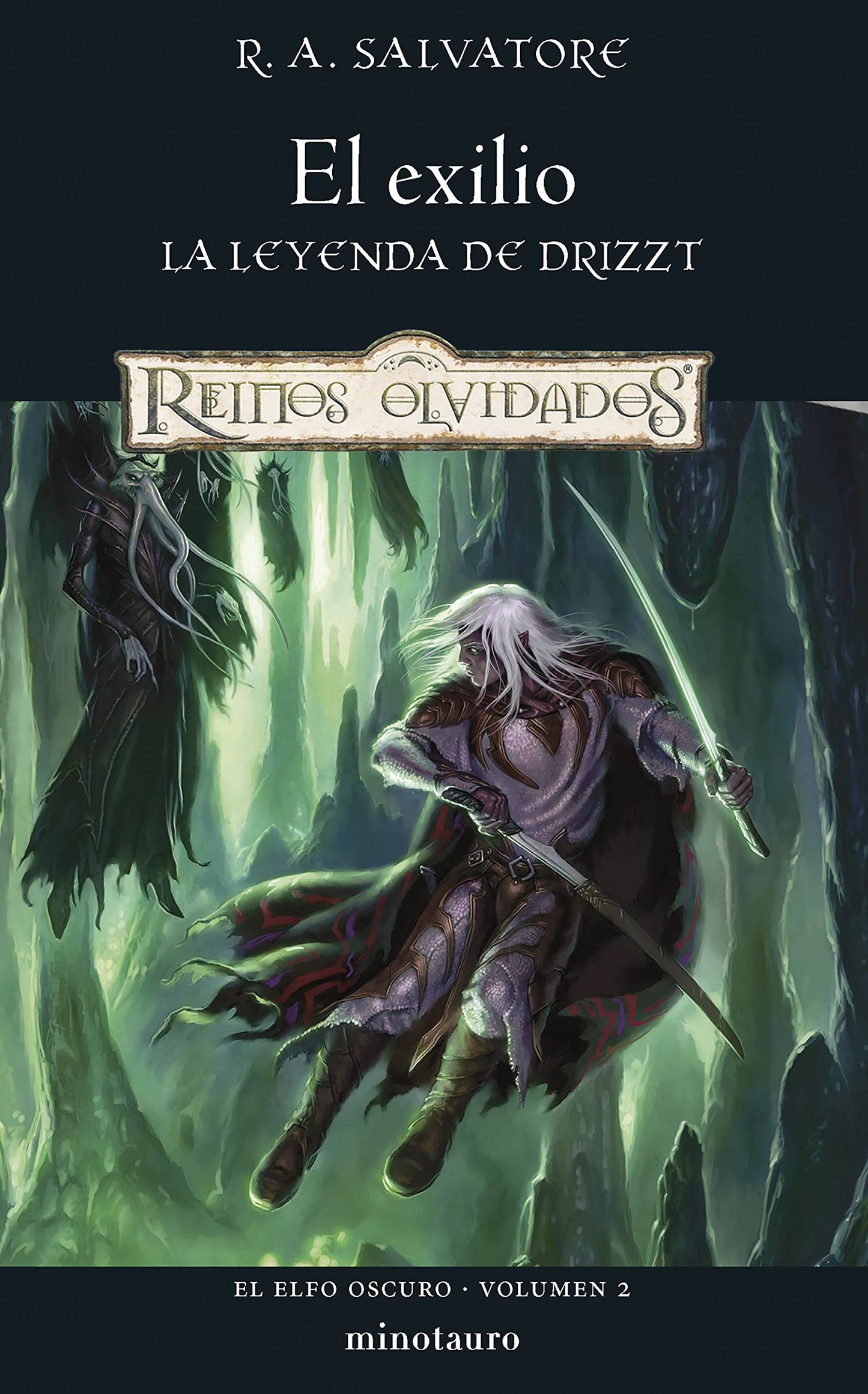 Libro: Elfo Oscuro nº 02/03 El exilio: 2 (D&D Reinos Olvidados)