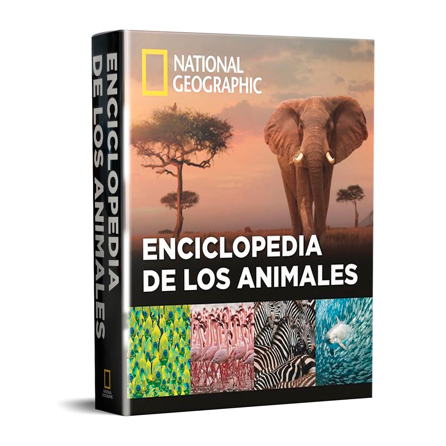 Libro: Enciclopedia de los animales (Grandes obras ilustradas, National Geographic)