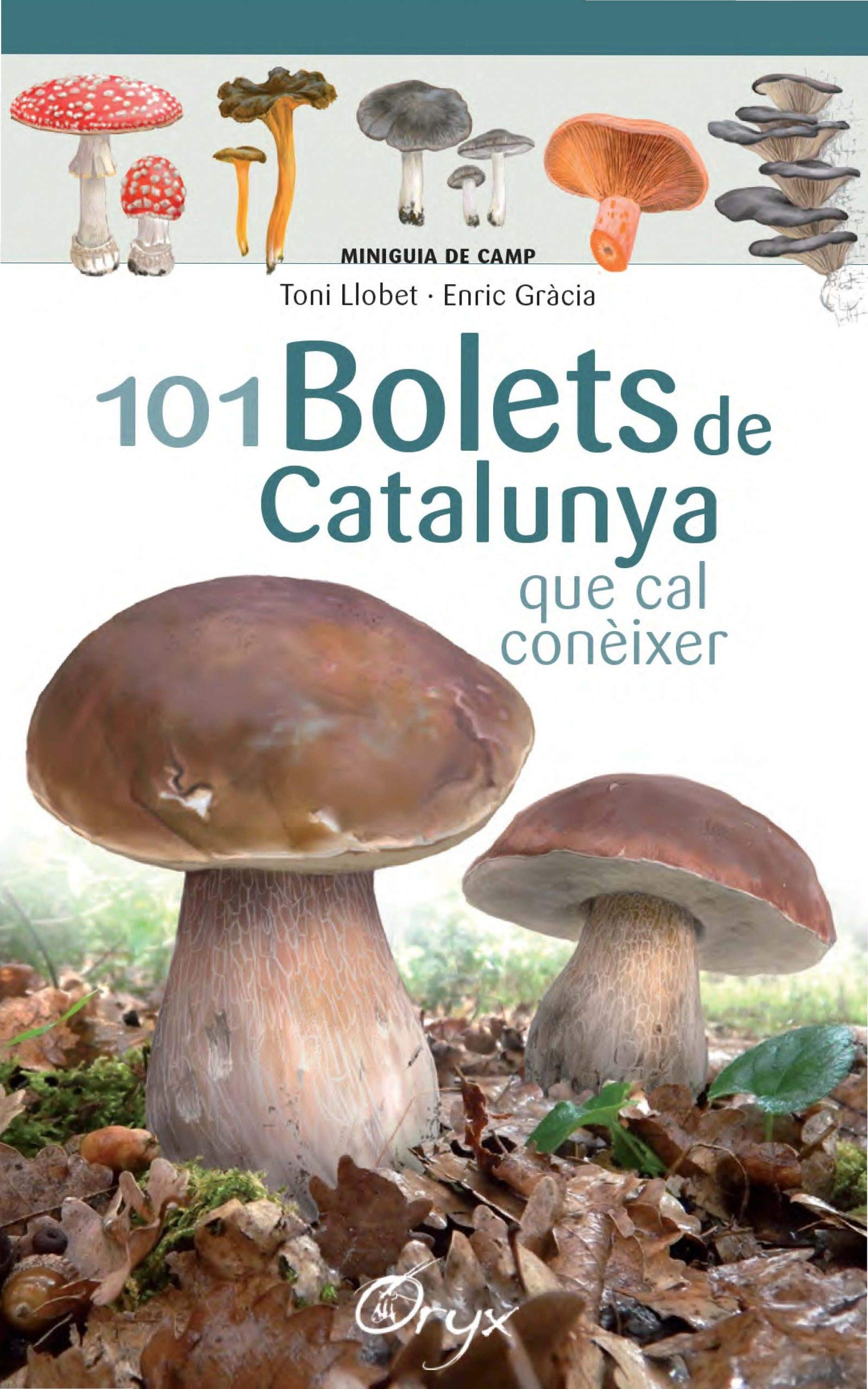 Libro: 101 Bolets De Catalunya: que cal conèixer (Miniguia de camp)