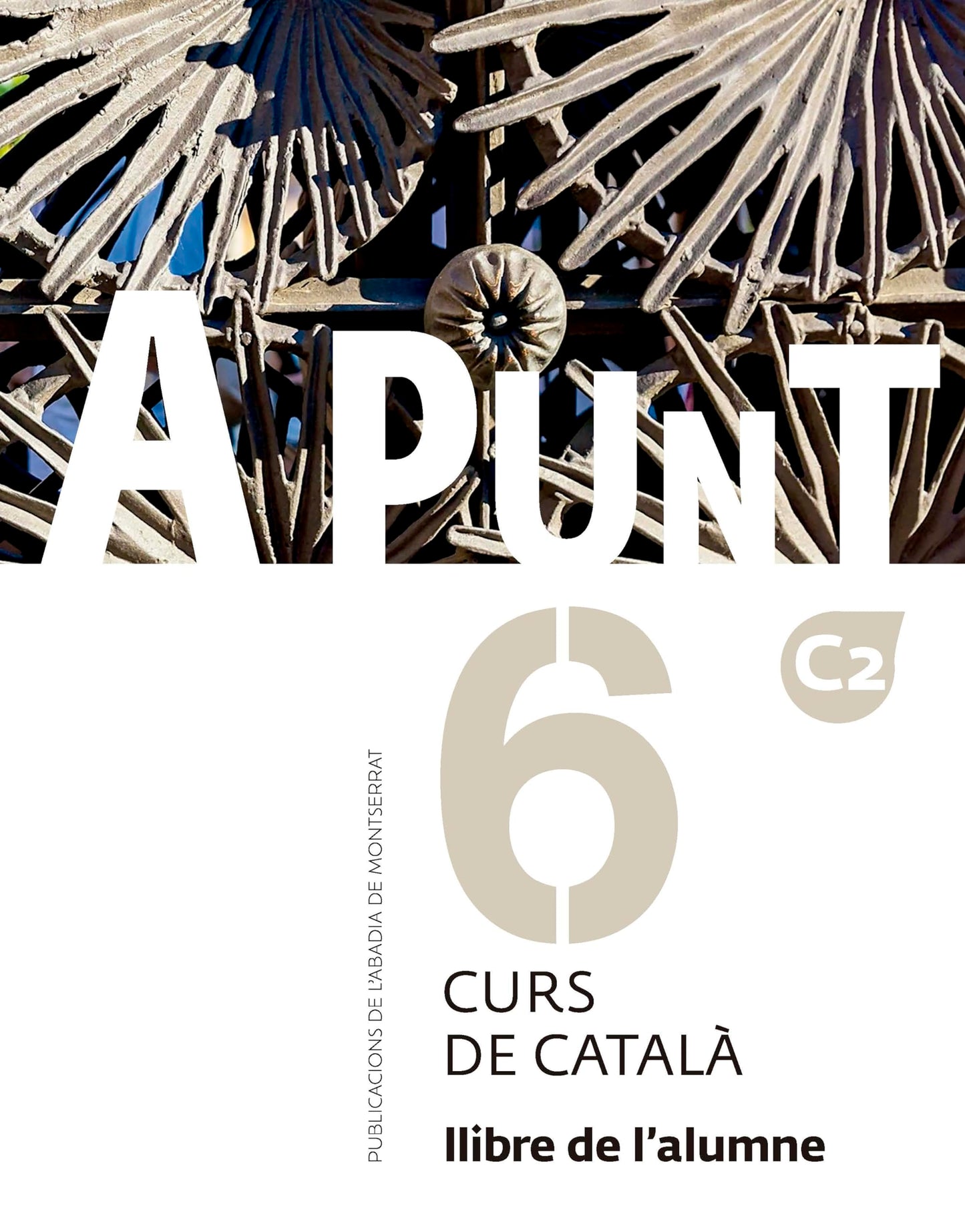 Libro: A punt 6 -llibre de l'alumne-