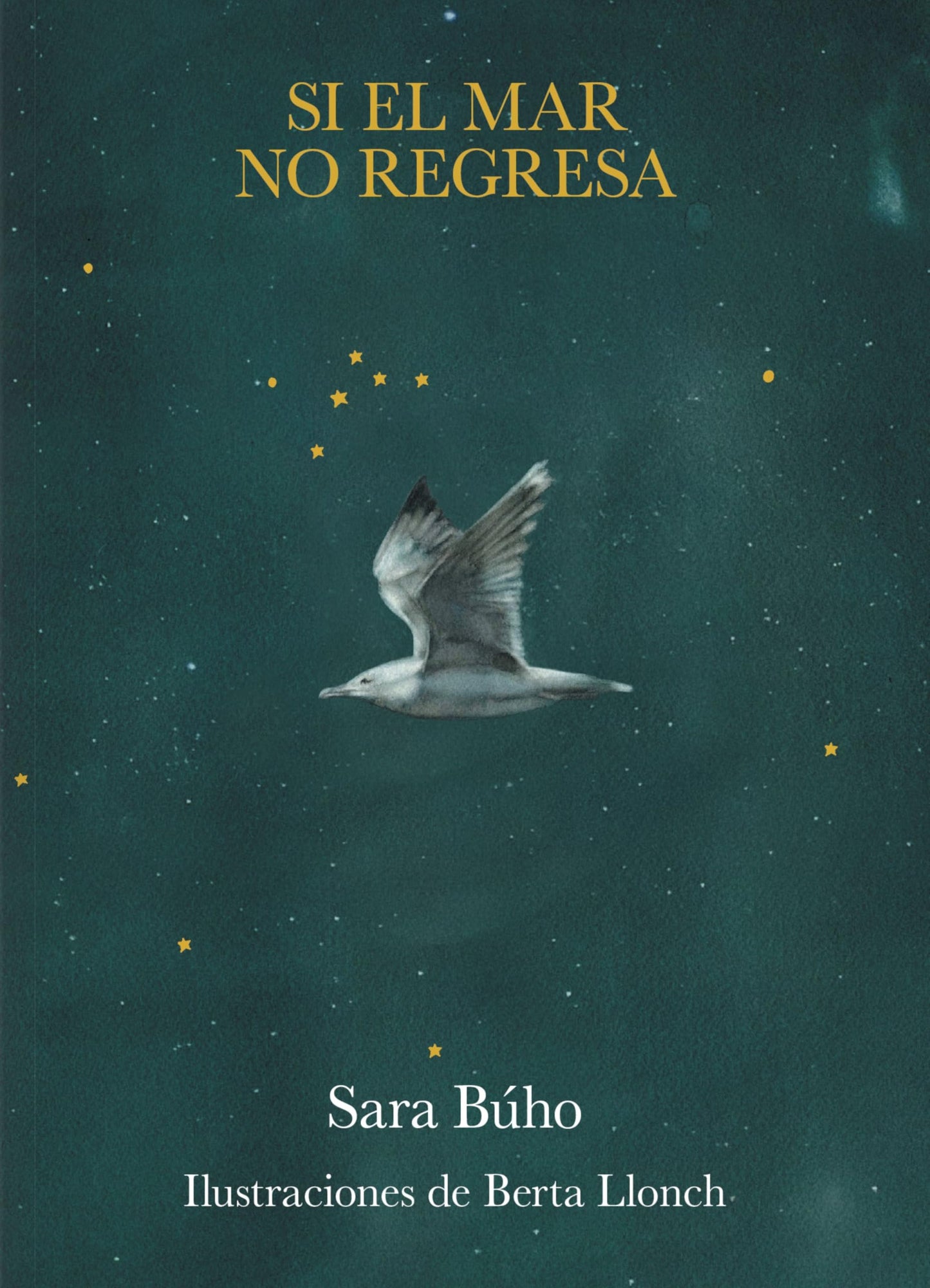 Si el mar no regresa (Poesía)