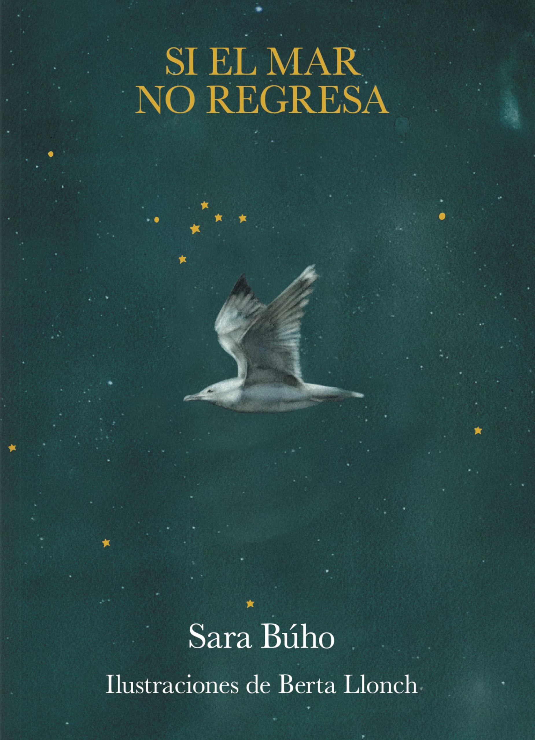 Si el mar no regresa (Poesía)