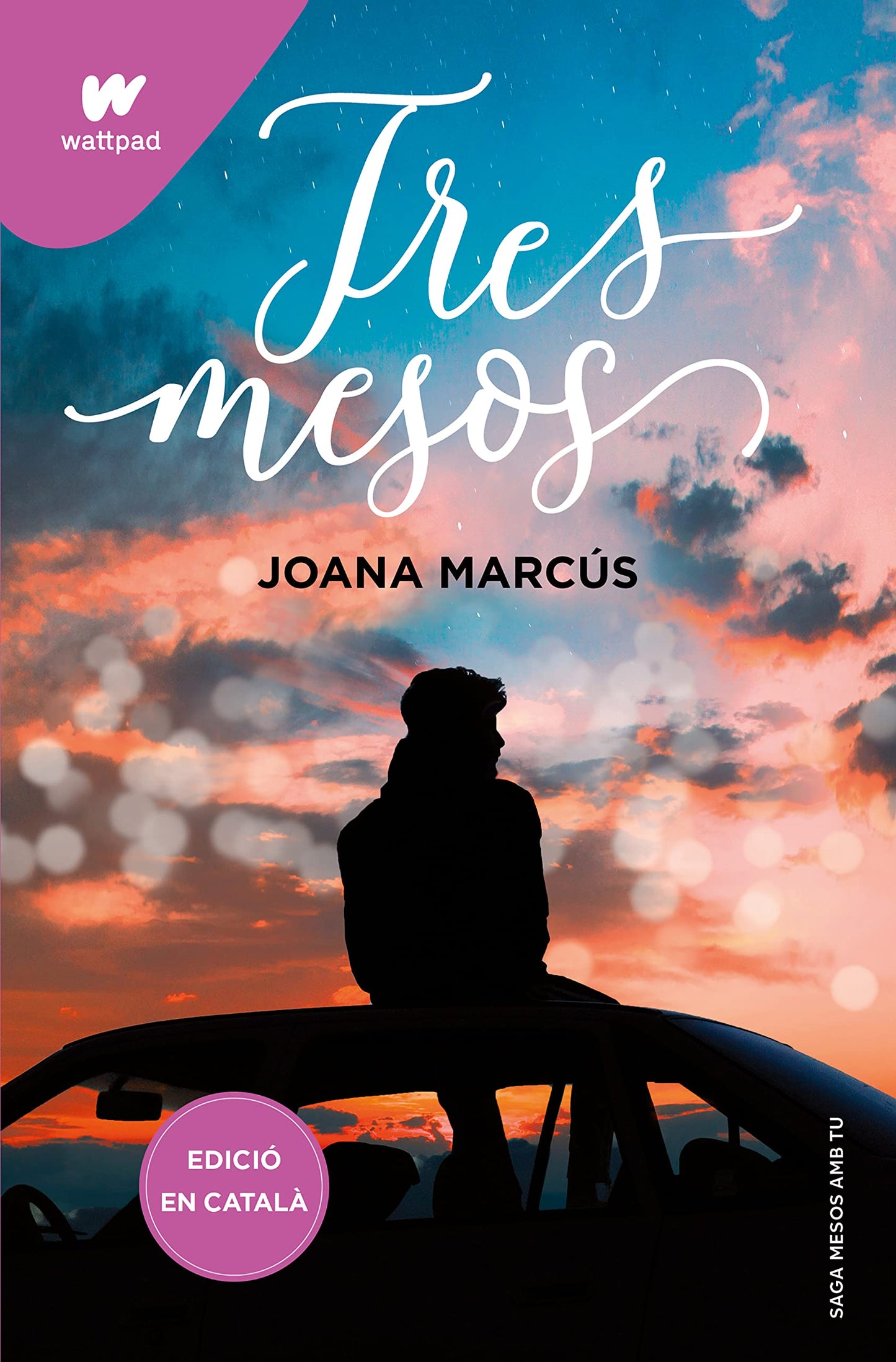 Libro: Tres mesos (Mesos amb tu 3)