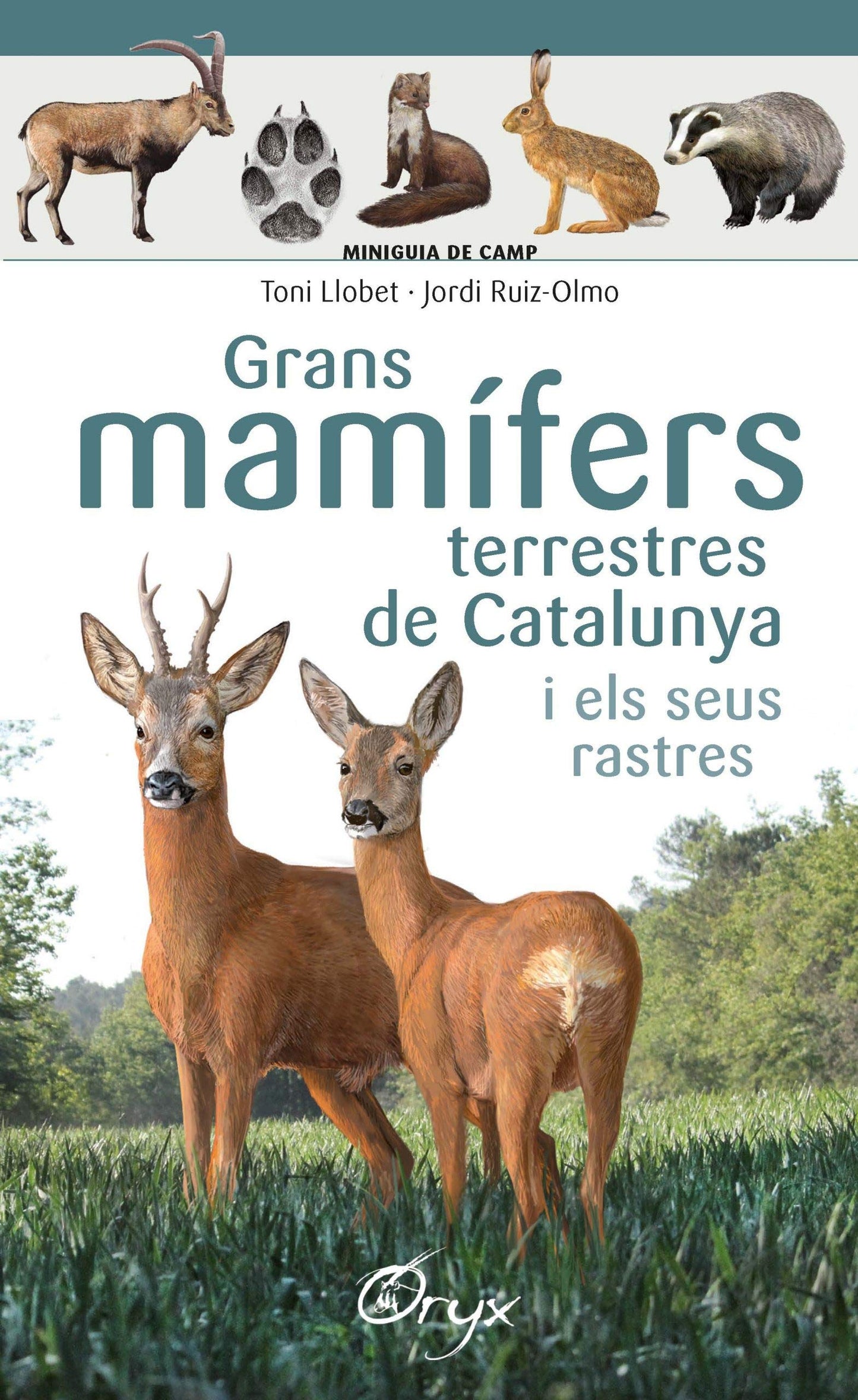 Libro: Grans Mamífers Terrestres De Catalunya I Els Seus Rastres (Miniguia de camp)