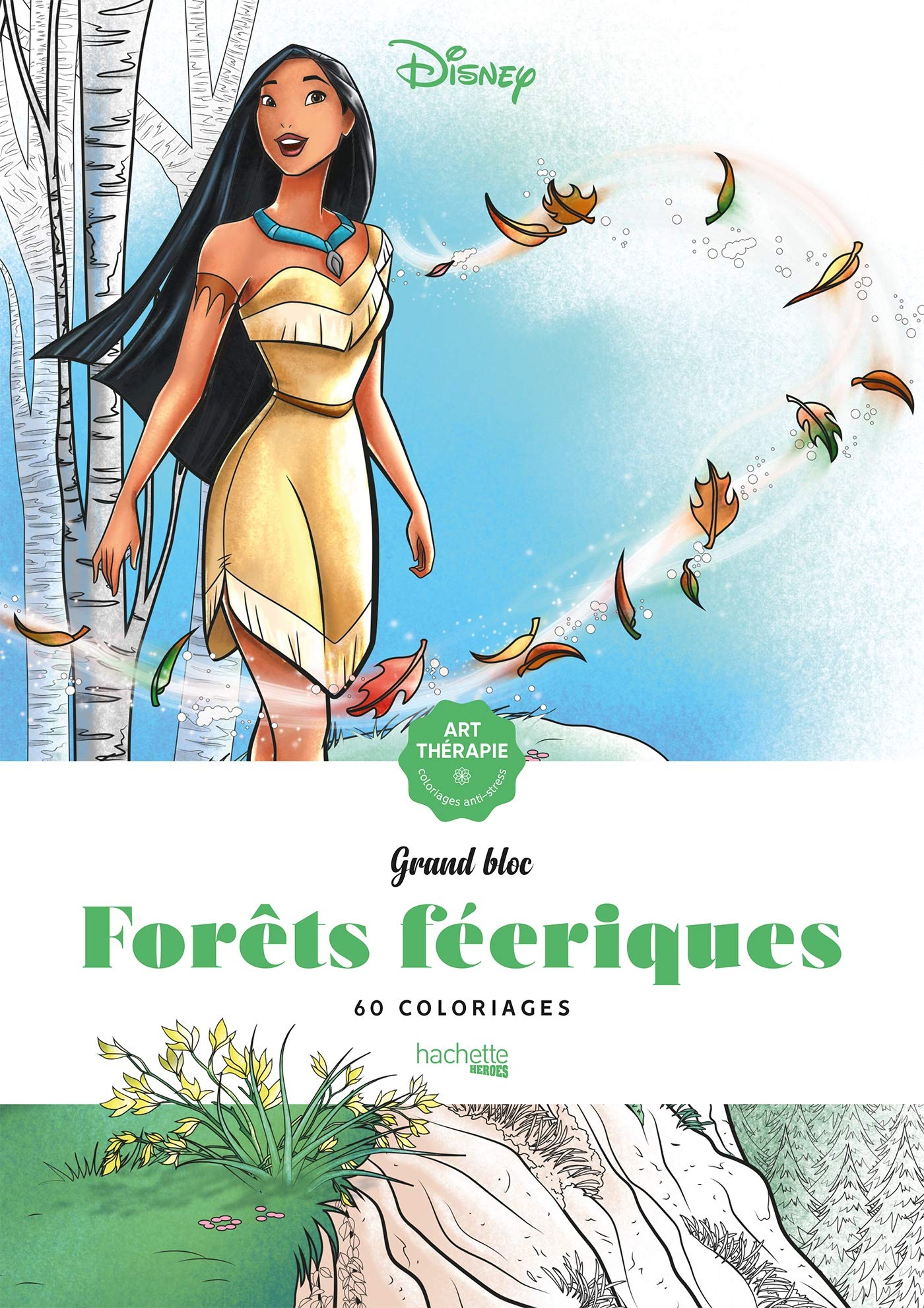 Libro: Forêts féeriques: 60 coloriages