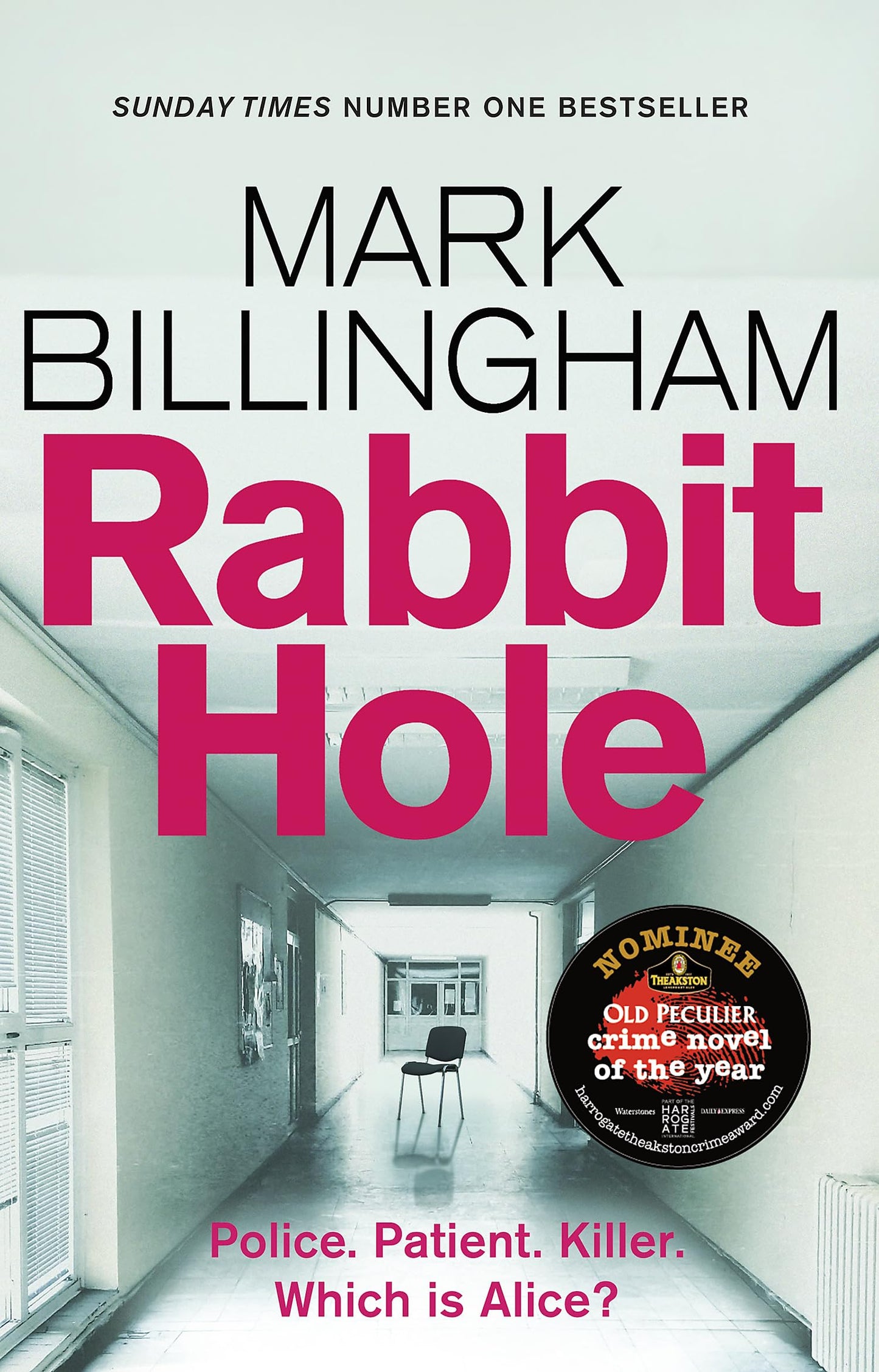 Libro: Rabbit Hole: The Sunday Times number one bestseller