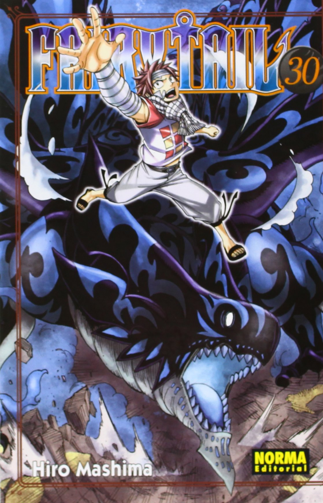 Libro: FAIRY TAIL 30