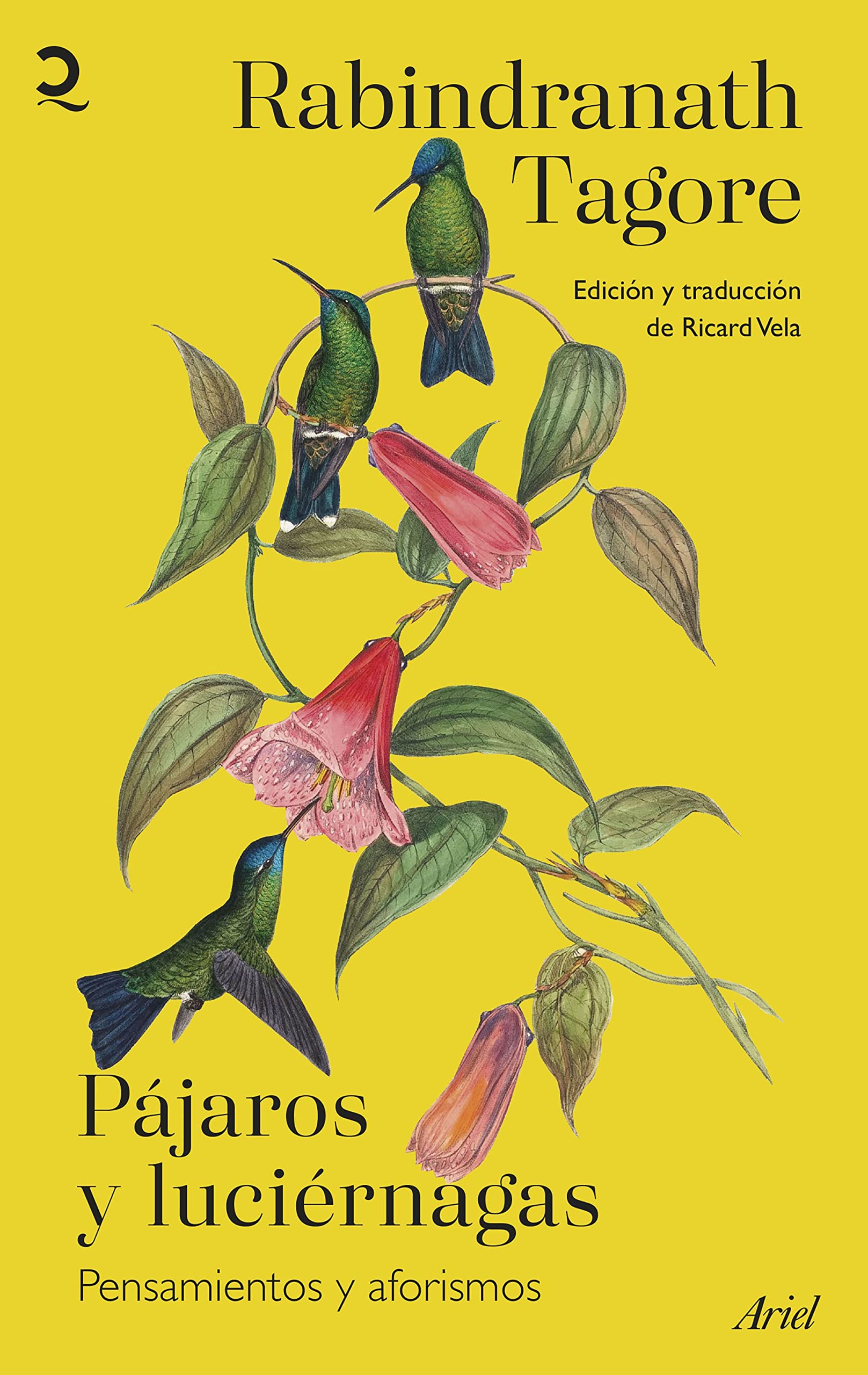 Libro: Pájaros y luciérnagas