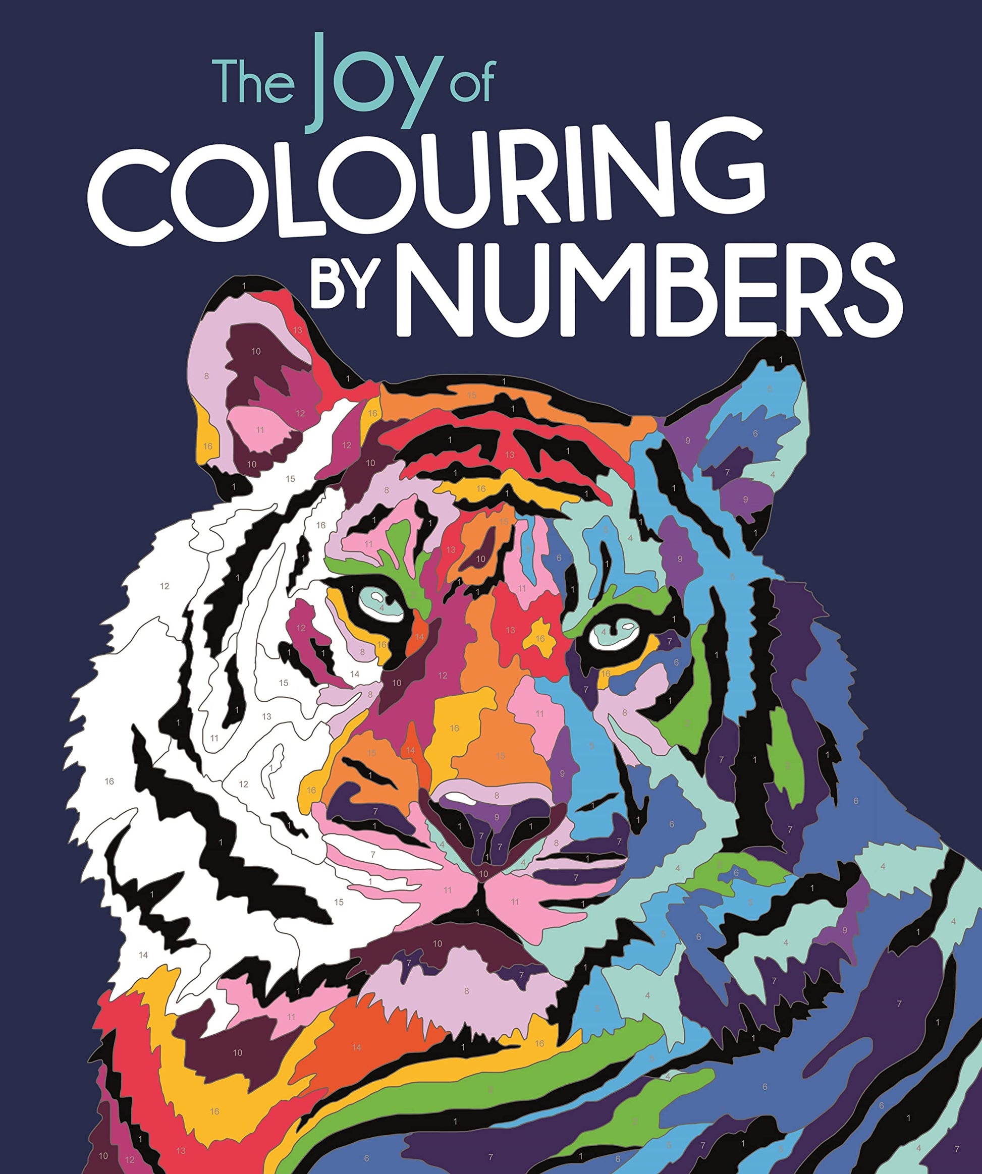 Libro: The Joy of Colouring by Numbers