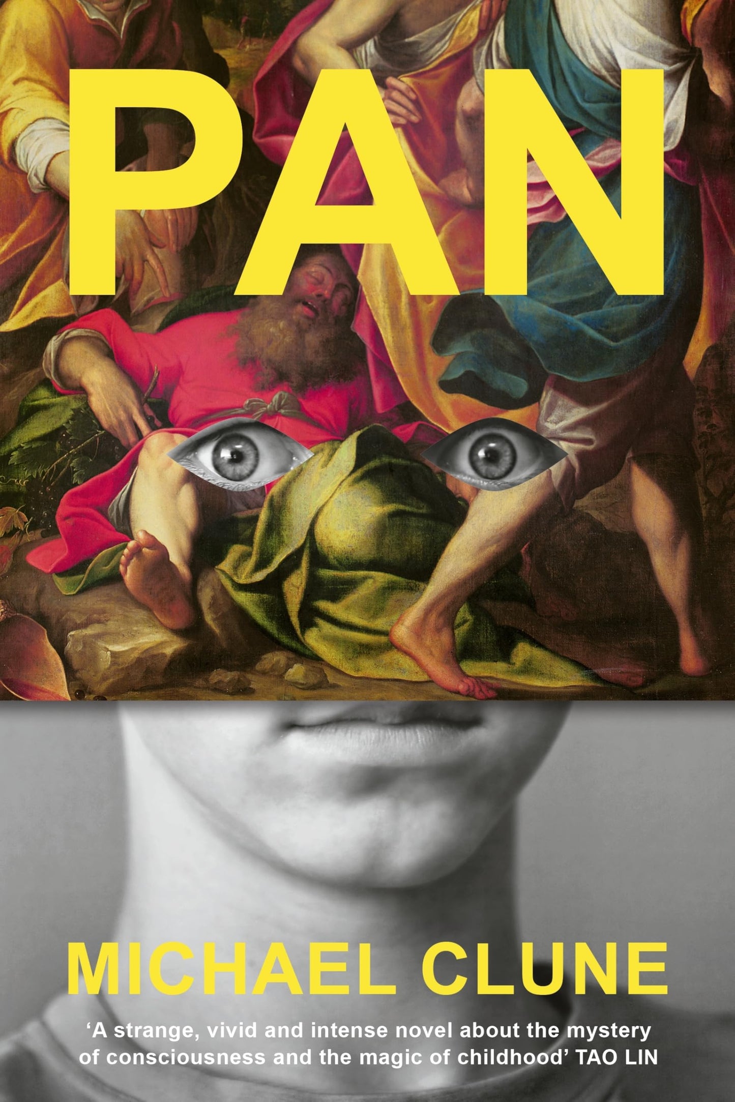 Libro: Fern Press Pan.
