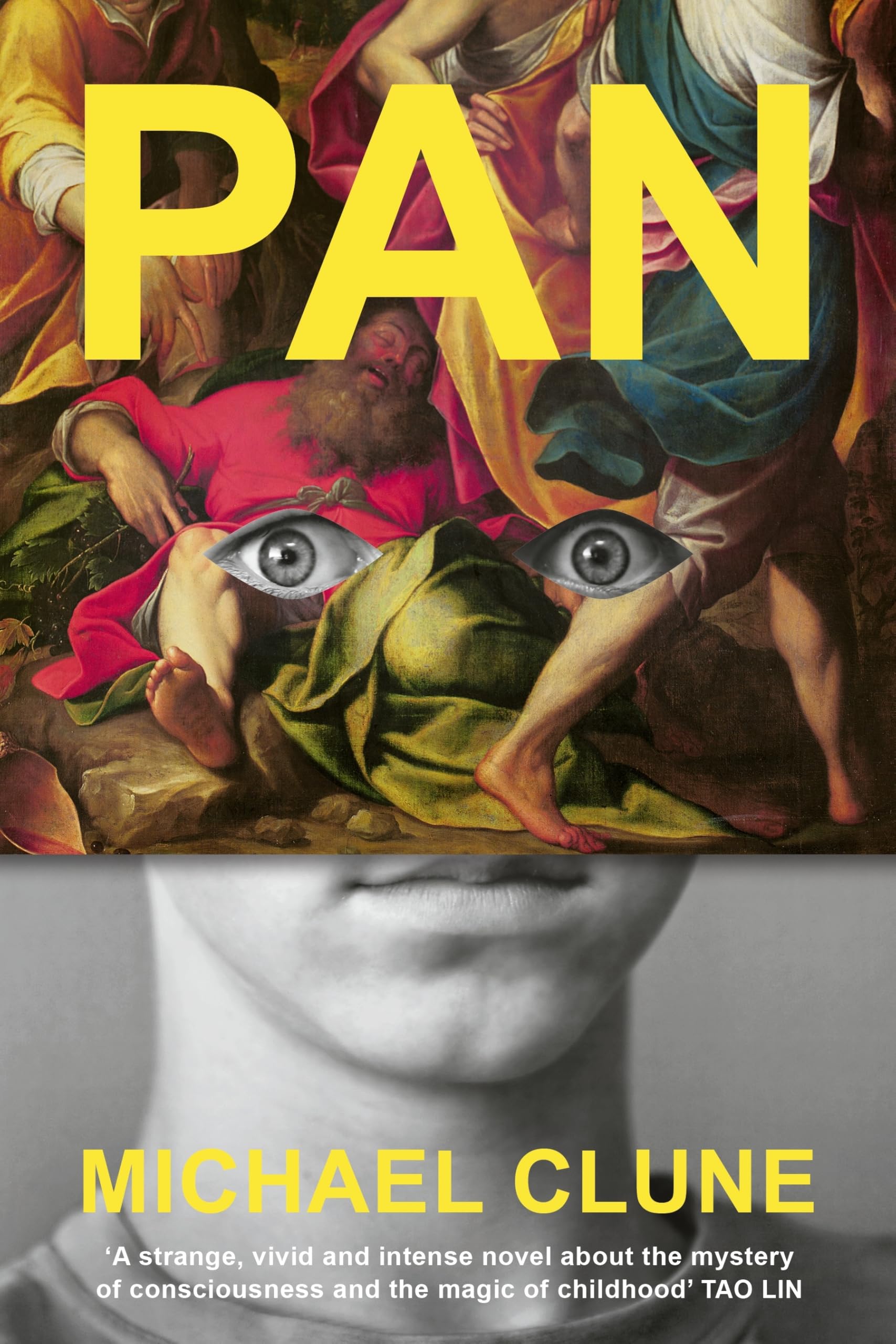 Libro: Fern Press Pan.