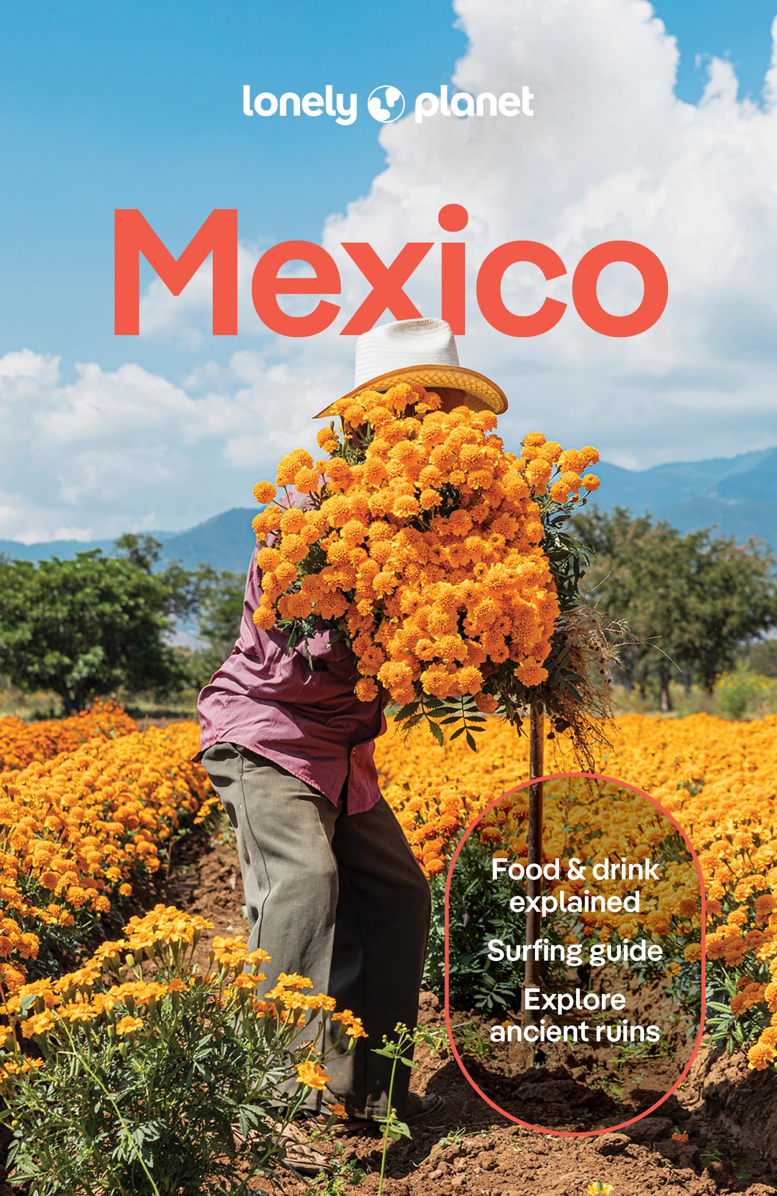 Libro: Lonely Planet Mexico: Plan the Trip of a Lifetime | Detailed Itineraries & Maps | Insider Tips | Covers ETulum, Oaxaca, Copper Canyon and more (Travel Guide)