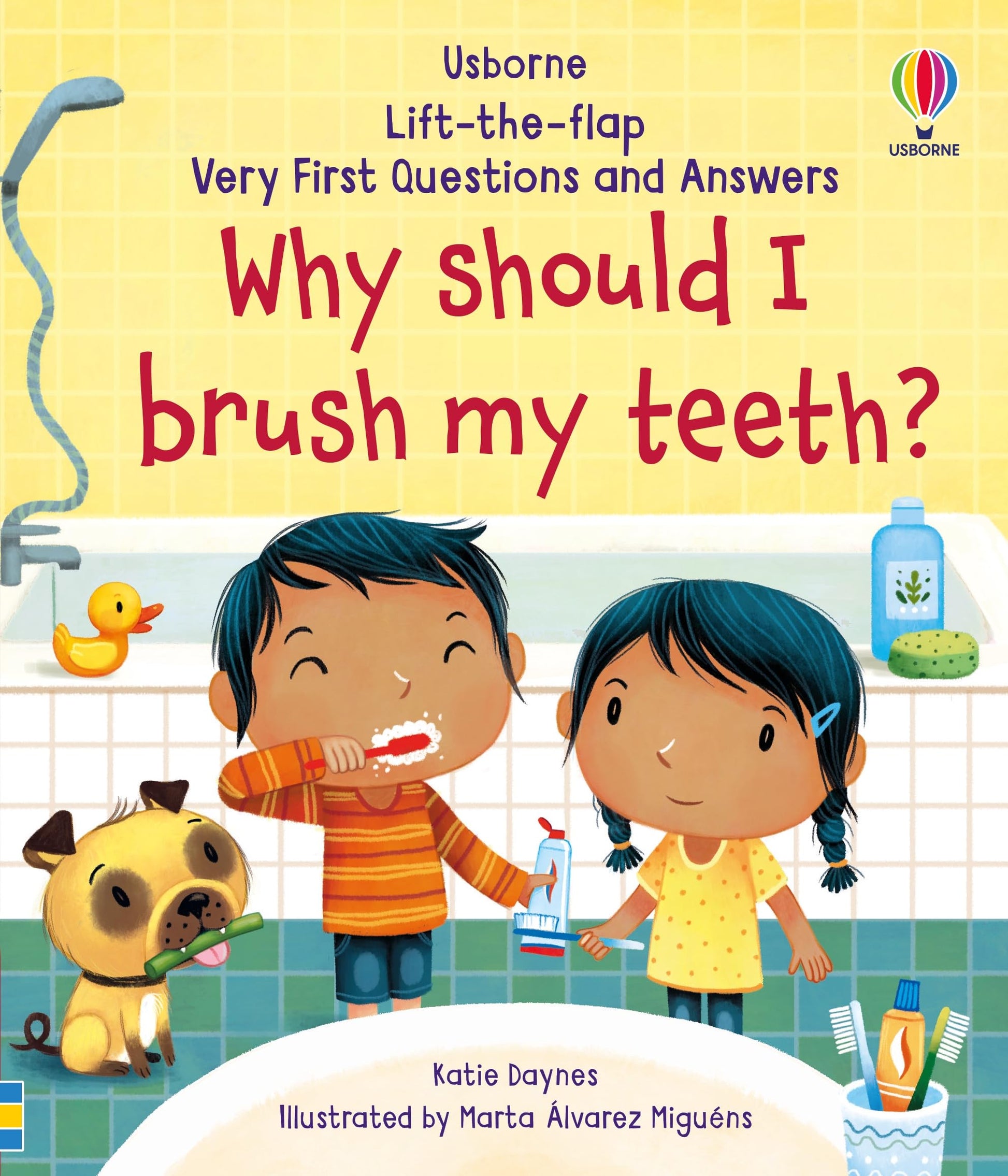 Libro: Why Should I Brush My Teeth? (Very First Lift-the-Flap Questions and Answers): 1 (Very First Questions and Answers)