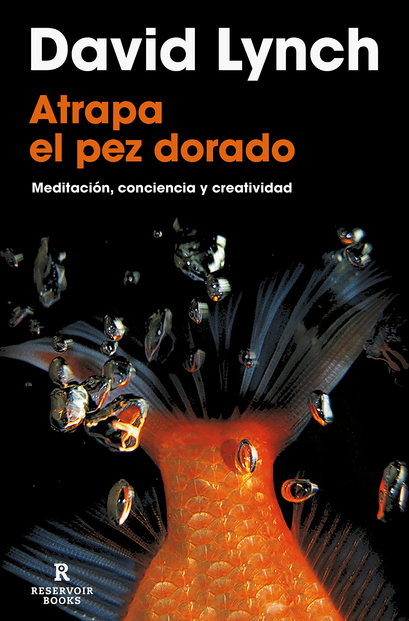 Atrapa el pez dorado (Reservoir Narrativa)