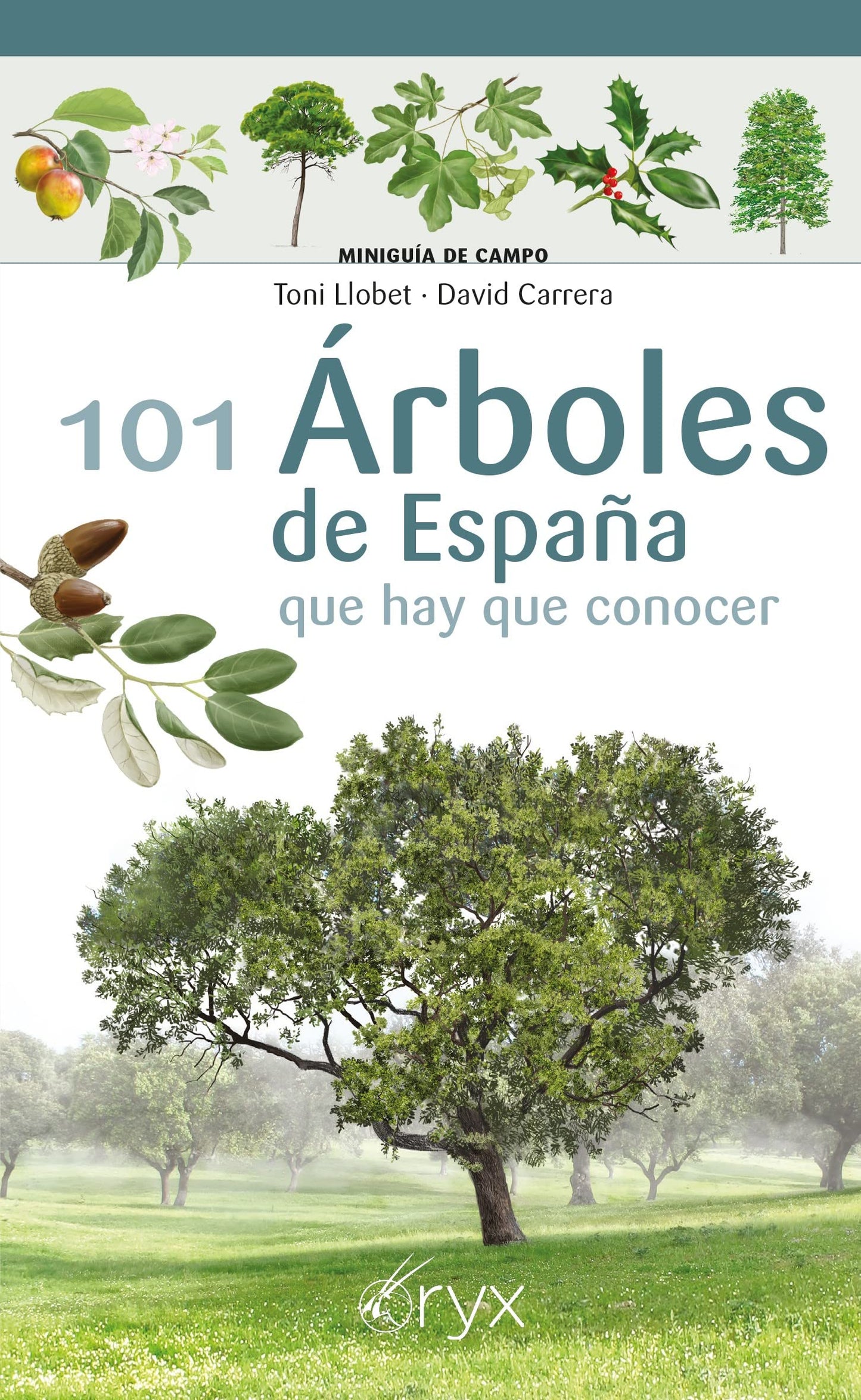 Libro: 101 Arboles De España - Que Hay Que Conocer (Miniguía de campo)