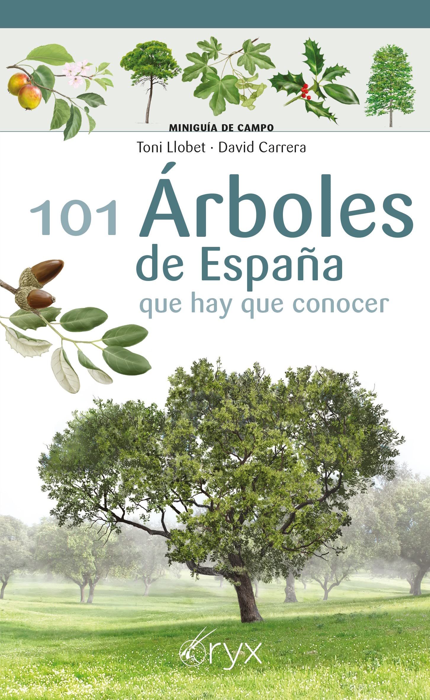Libro: 101 Arboles De España - Que Hay Que Conocer (Miniguía de campo)
