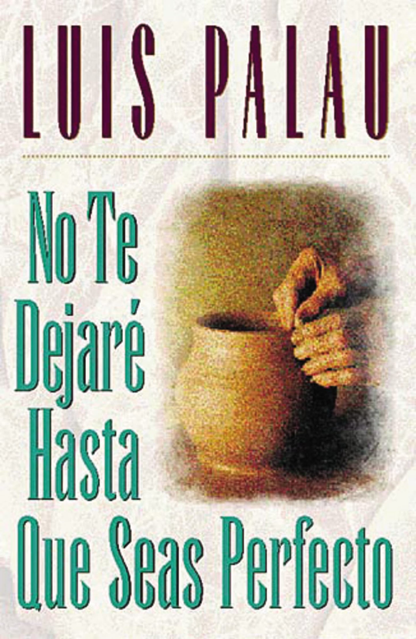 Libro: No te dejaré hasta que seas perfecto