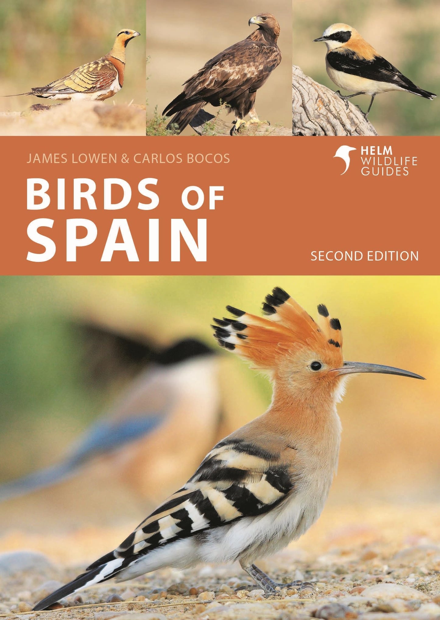 Libro: Birds of Spain: Second Edition (Helm Wildlife Guides)