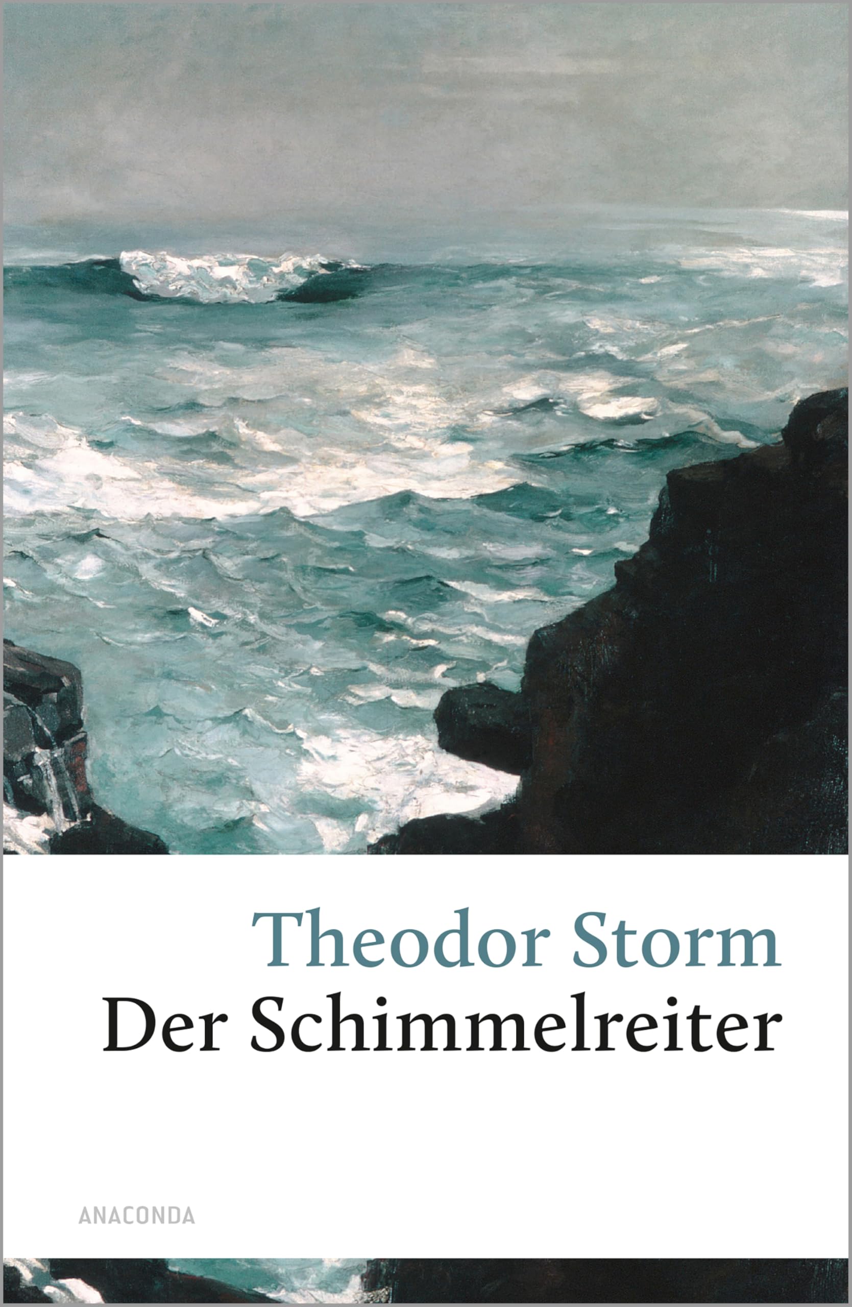 Libro: Der Schimmelreiter