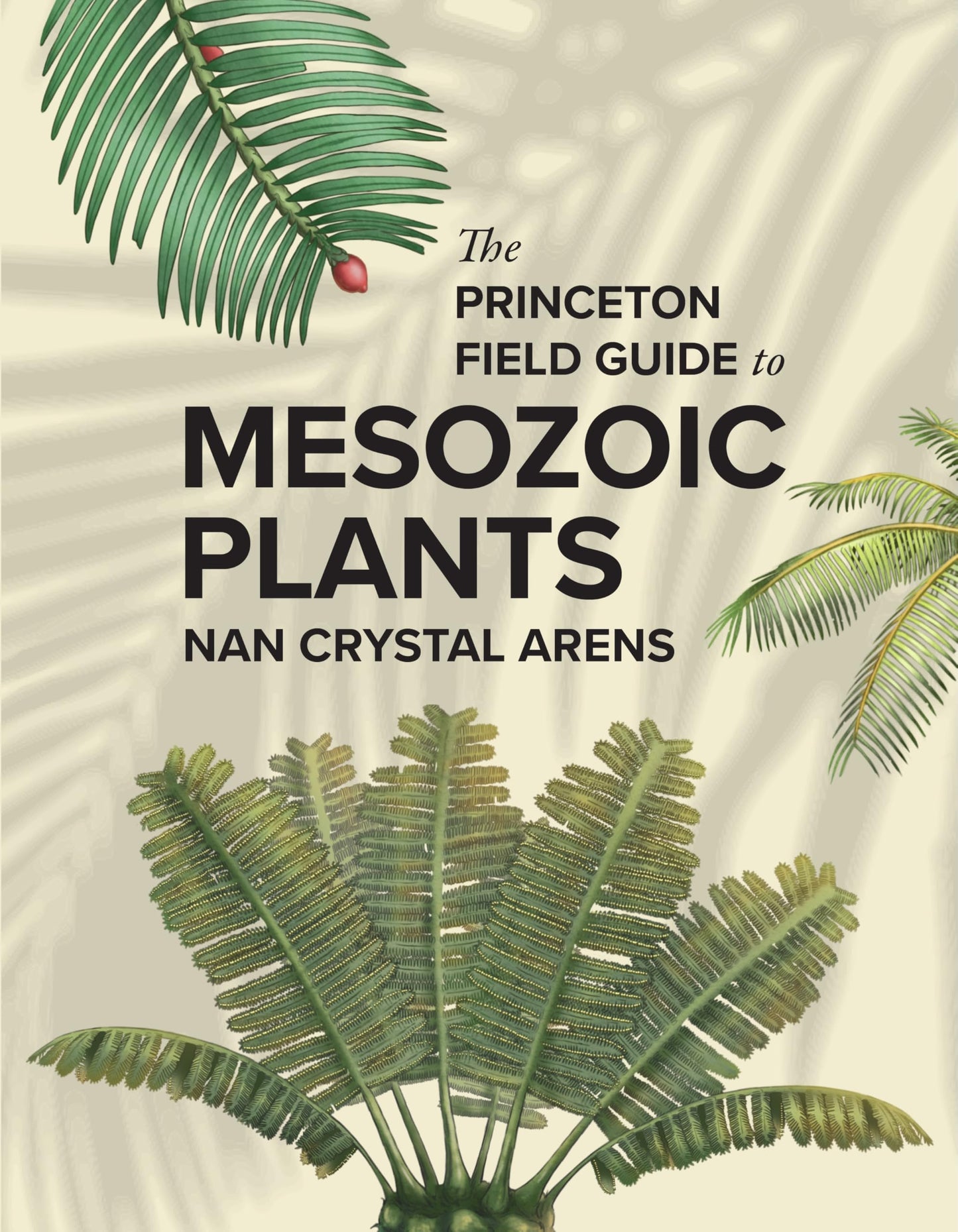 Libro: The Princeton Field Guide to Mesozoic Plants