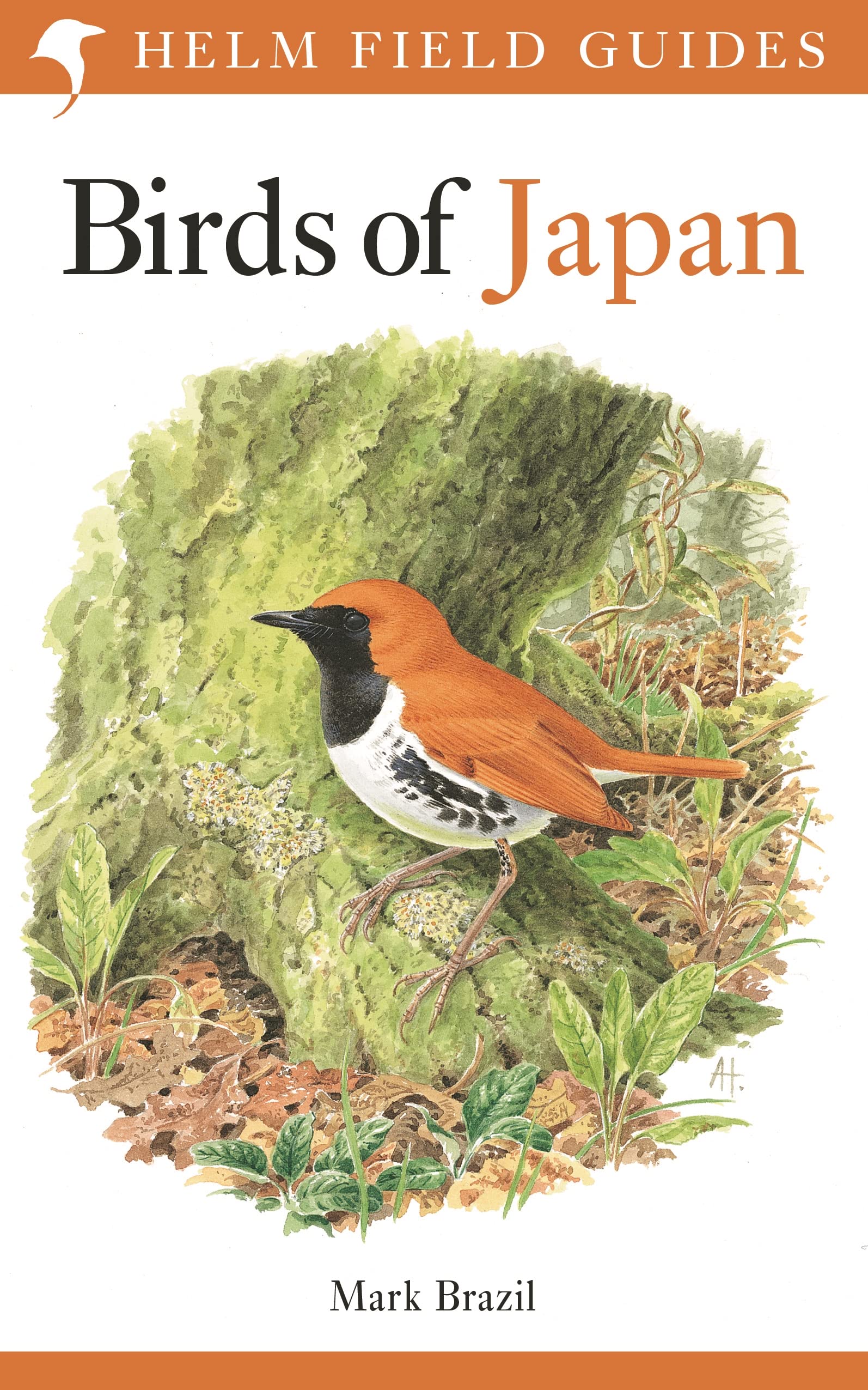 Libro: Field Guide to the Birds of Japan (Helm Field Guides)