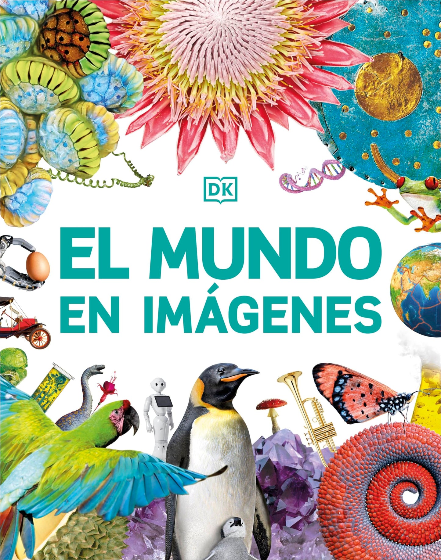 Libro: El mundo en imágenes (Enciclopedia visual juvenil)