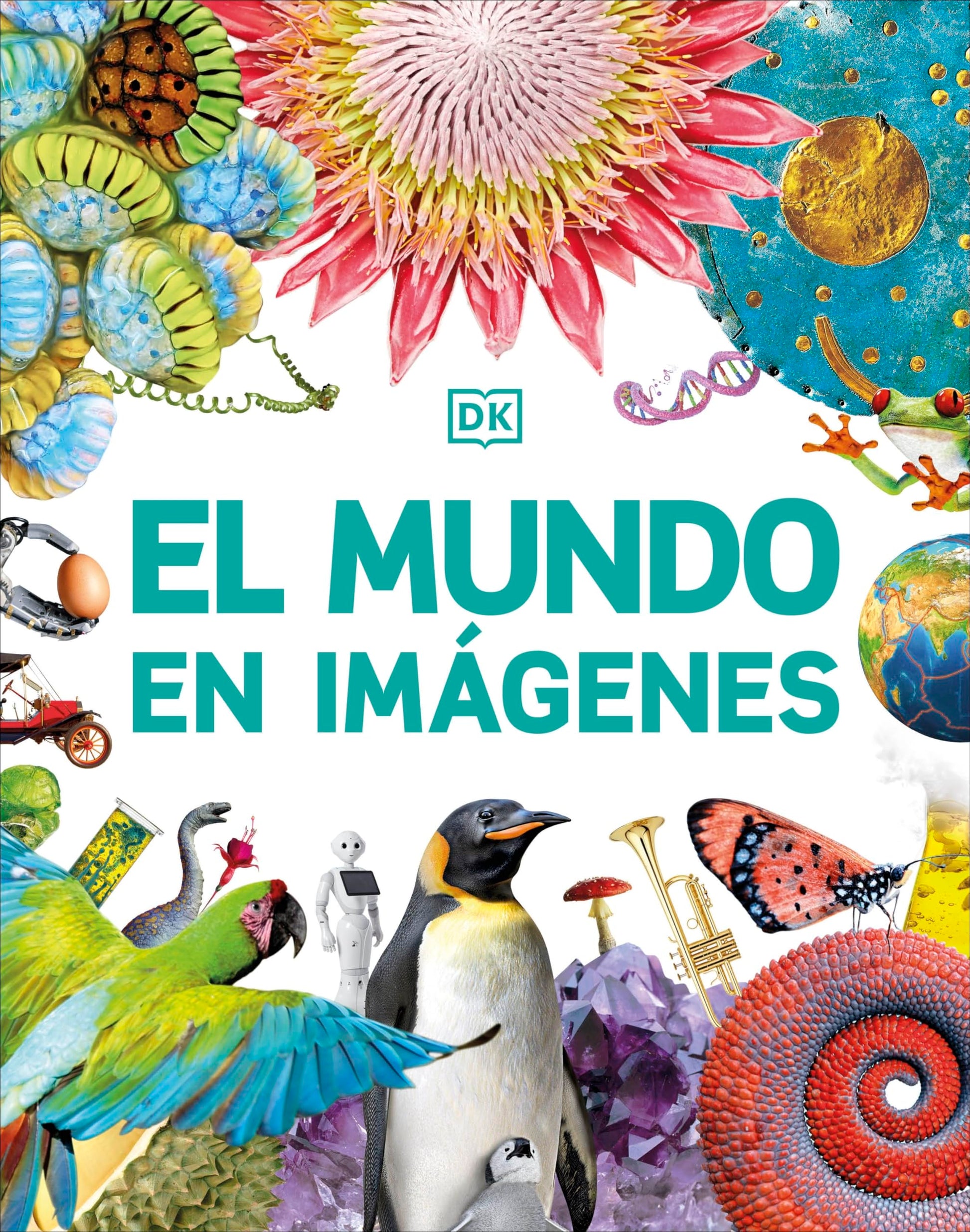 Libro: El mundo en imágenes (Enciclopedia visual juvenil)