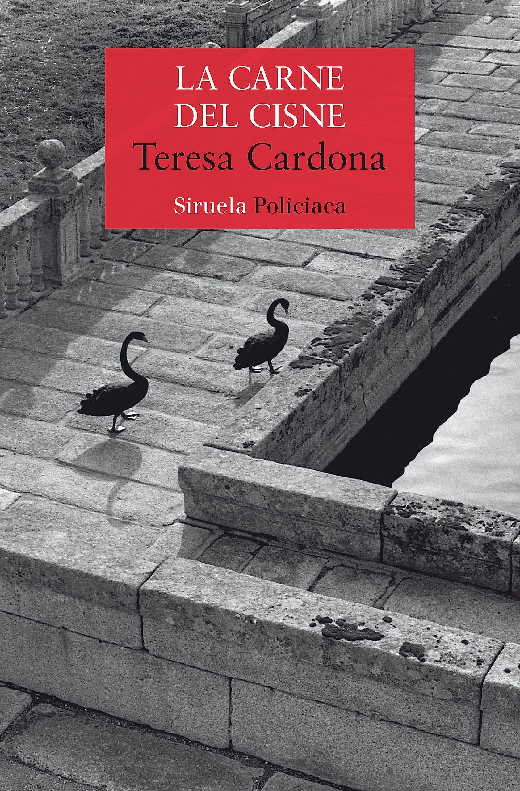 Libro: La carne del cisne: Serie de Blecker y Cano 3