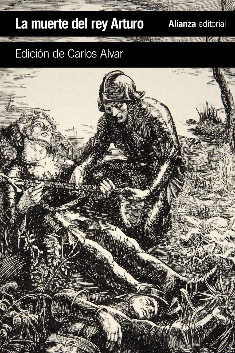 Libro: La muerte del rey Arturo