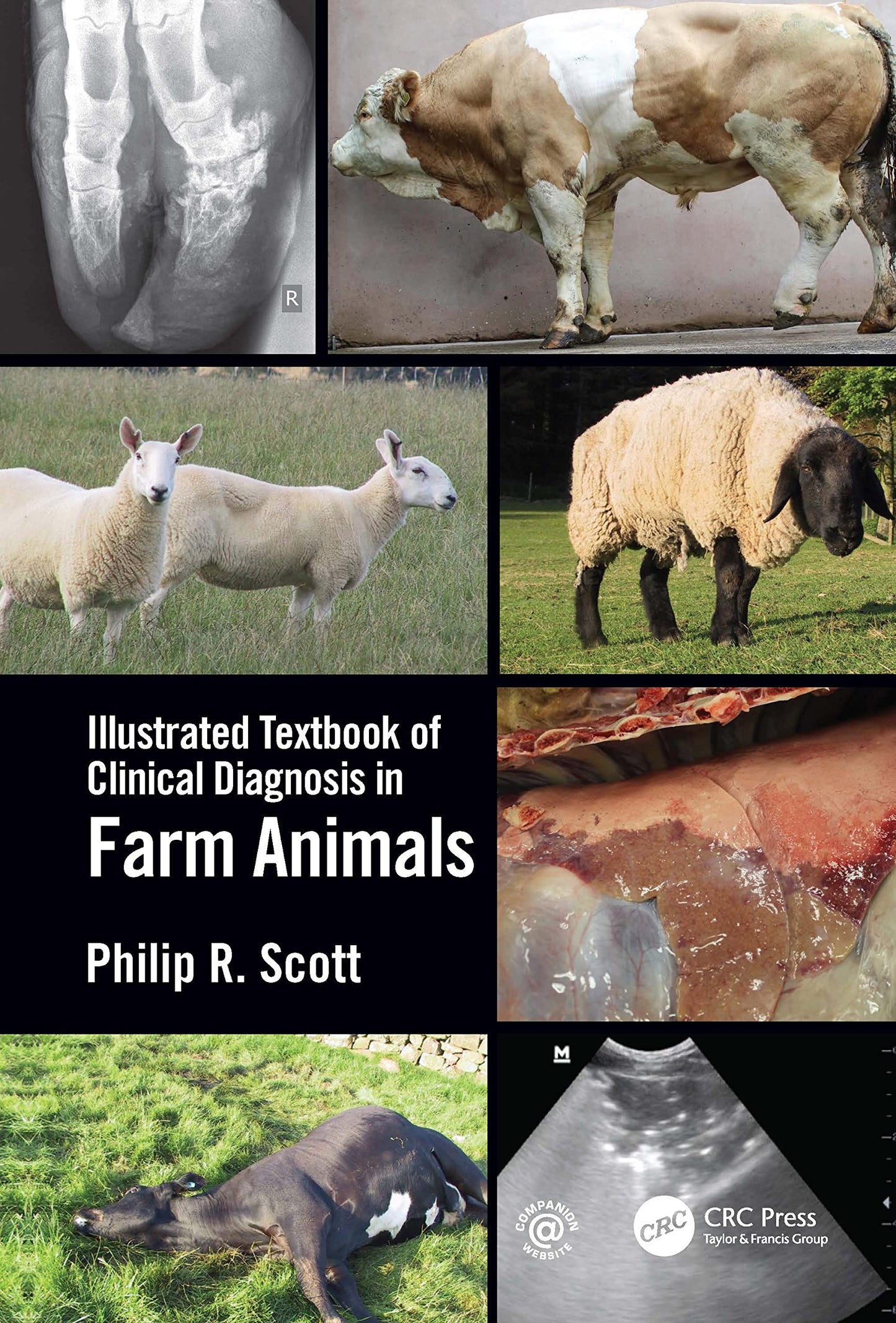 Libro: Illustrated Textbook of Clinical Diagnosis in Farm Animals