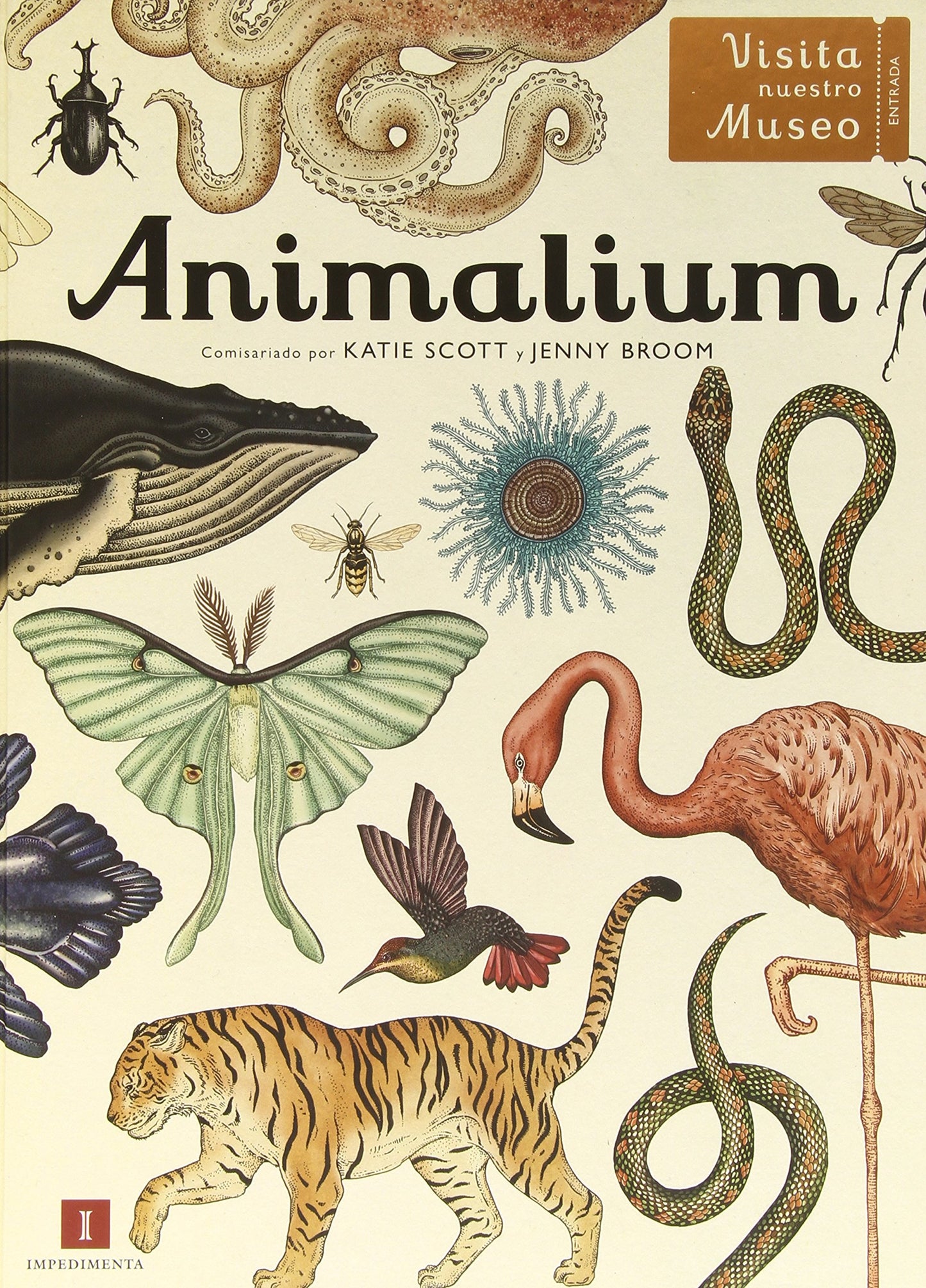 Animalium: 9 (El chico amarillo)