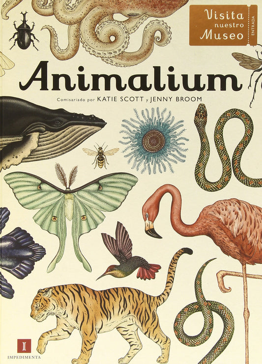 Animalium: 9 (El chico amarillo)
