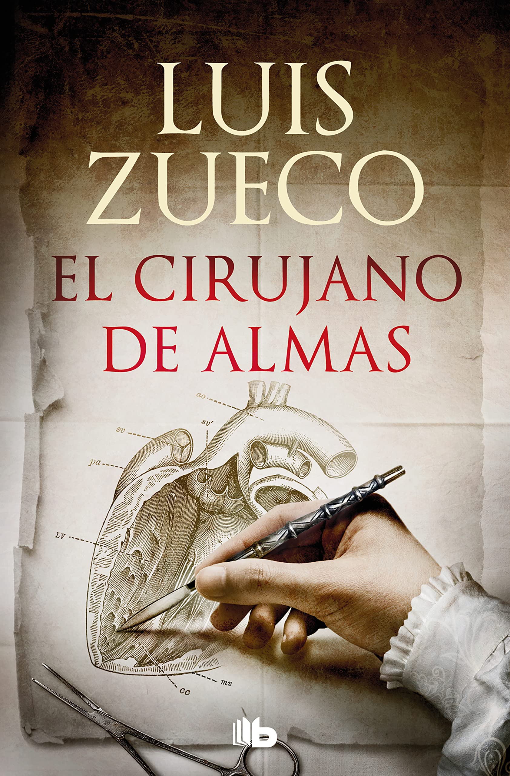 El cirujano de almas (Ficción)