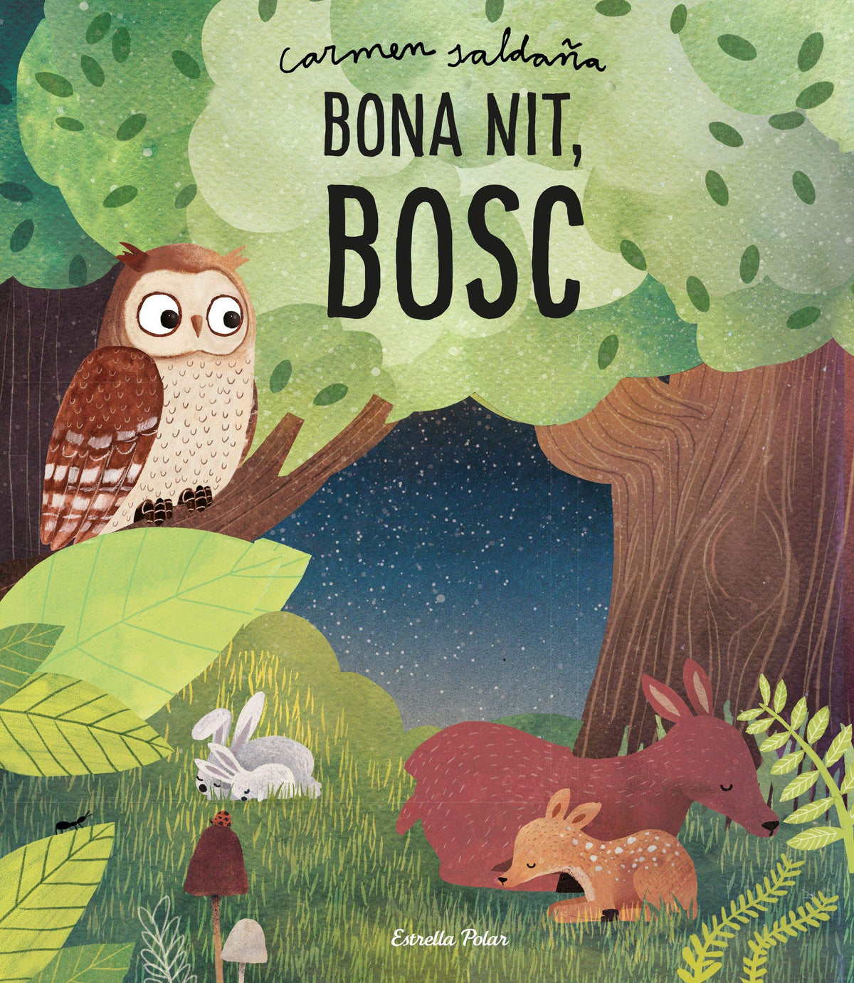 Libro: Bona nit, bosc