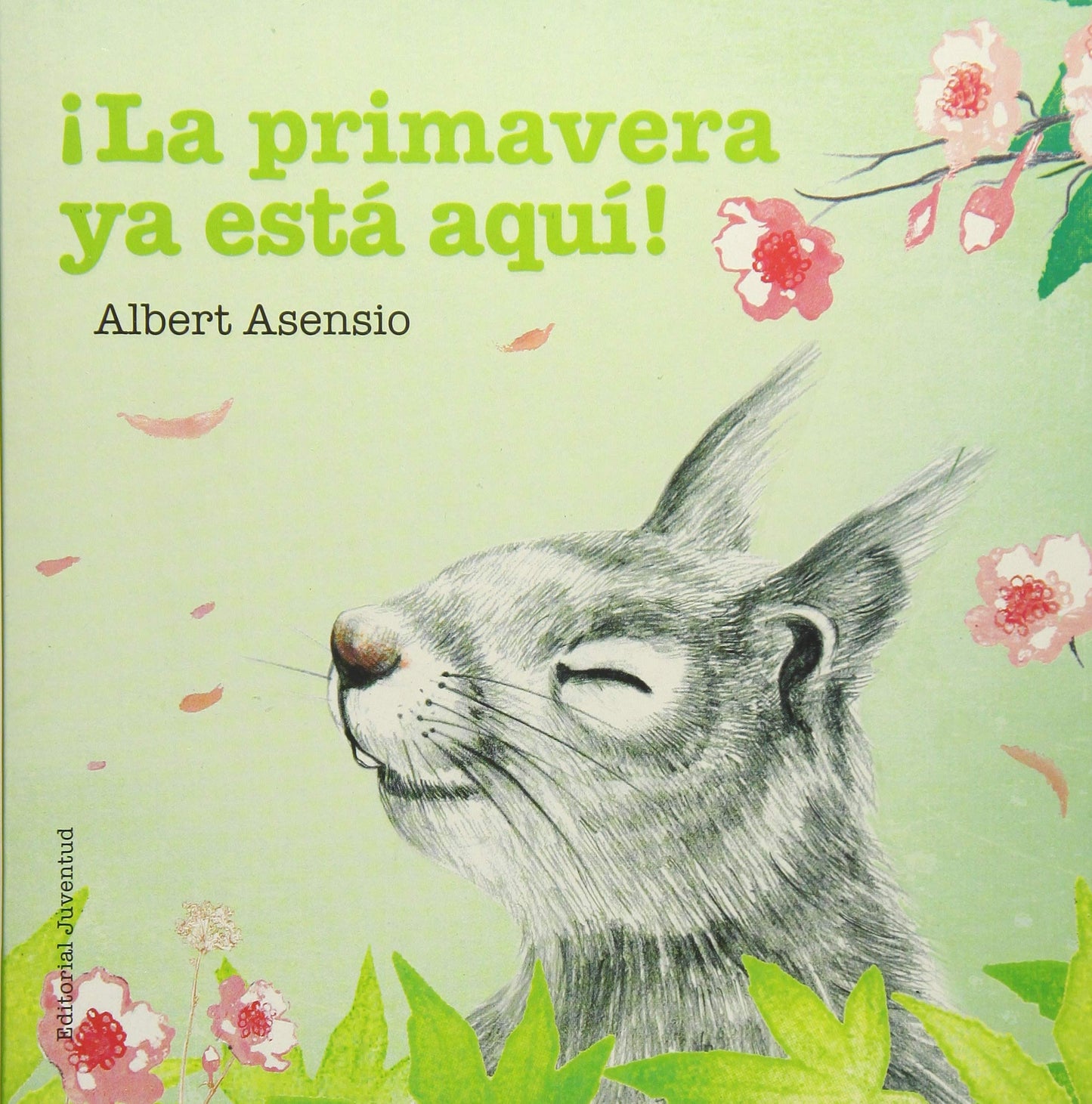 Libro: ¡La primavera ya está aquí! (Mis Primeros Libros de Cartón)