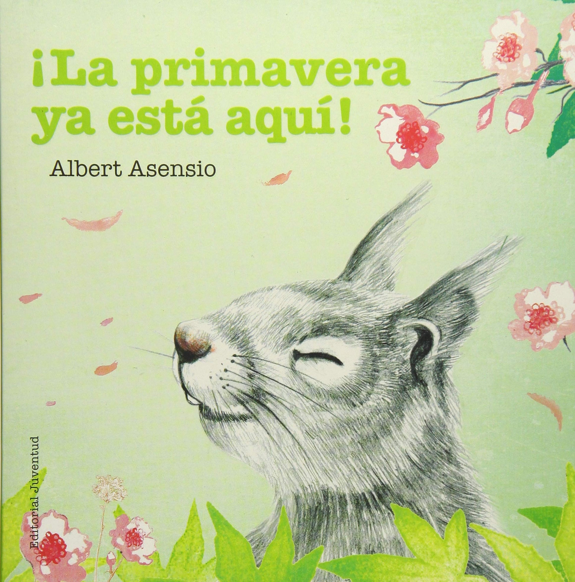 Libro: ¡La primavera ya está aquí! (Mis Primeros Libros de Cartón)