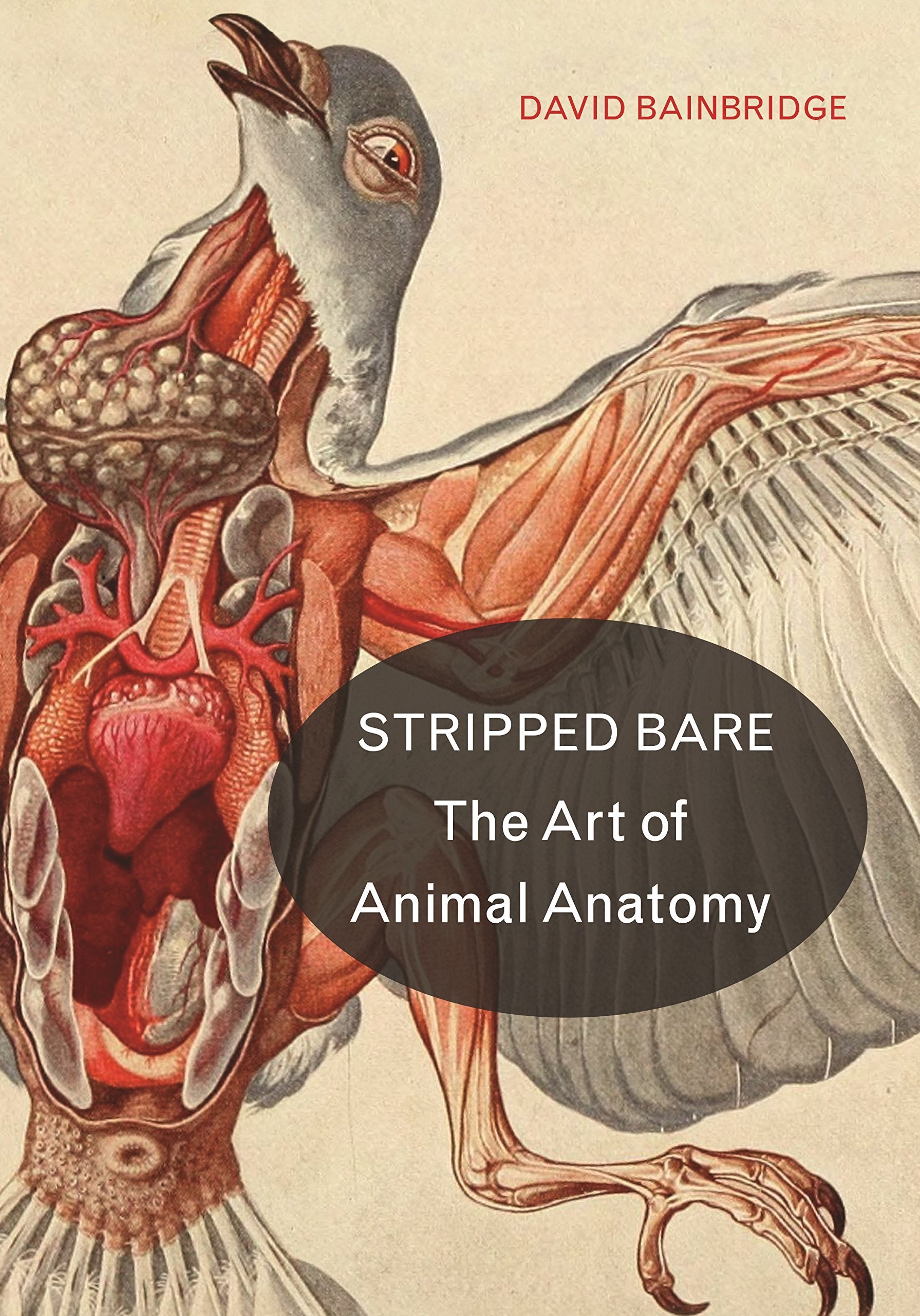 Libro: Stripped Bare: The Art of Animal Anatomy