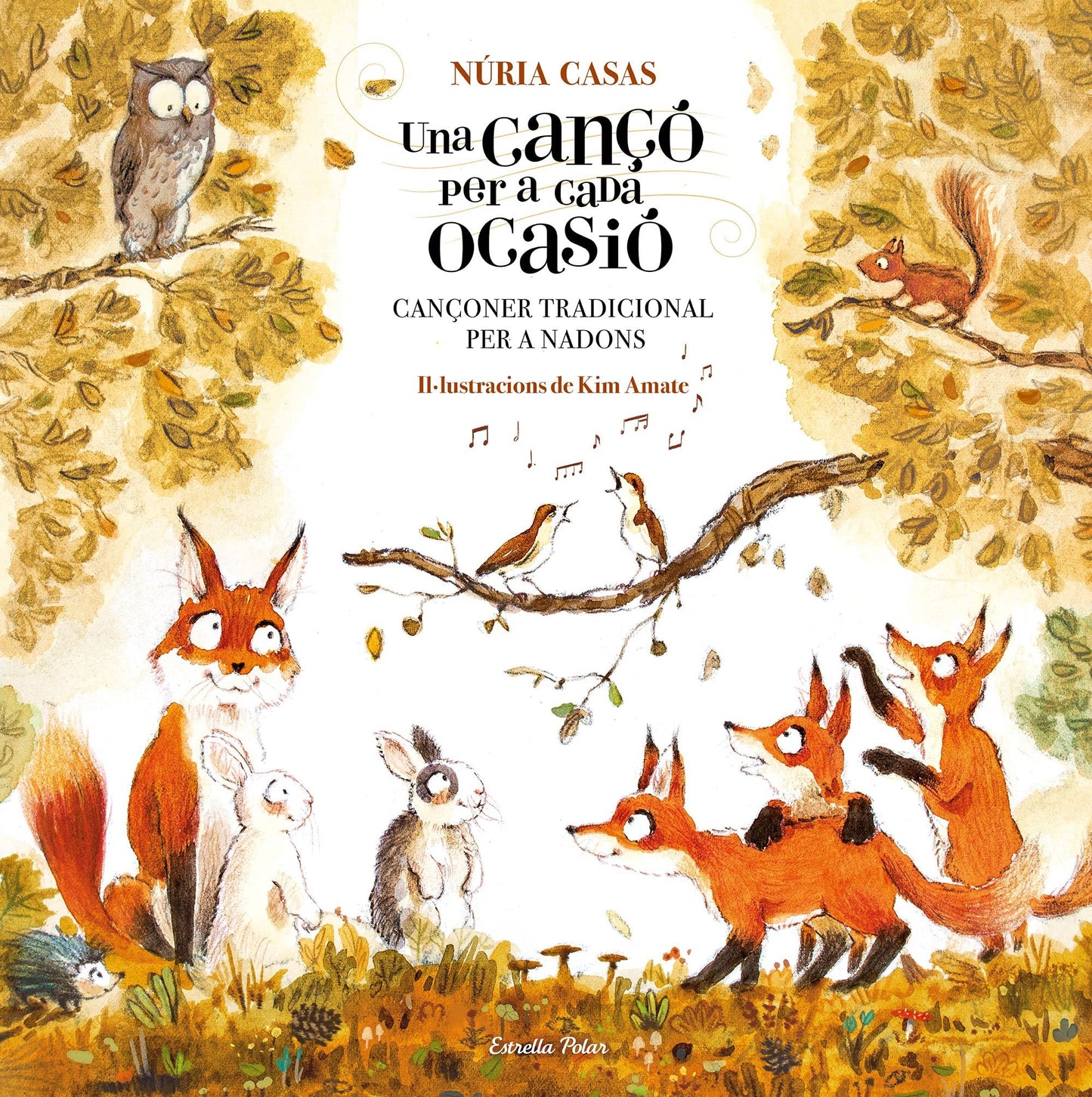 Libro: Una cançó per a cada ocasió