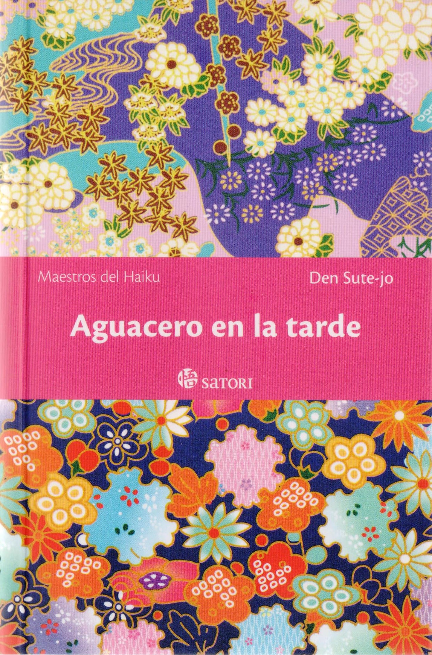 Libro: AGUACERO EN LA TARDE