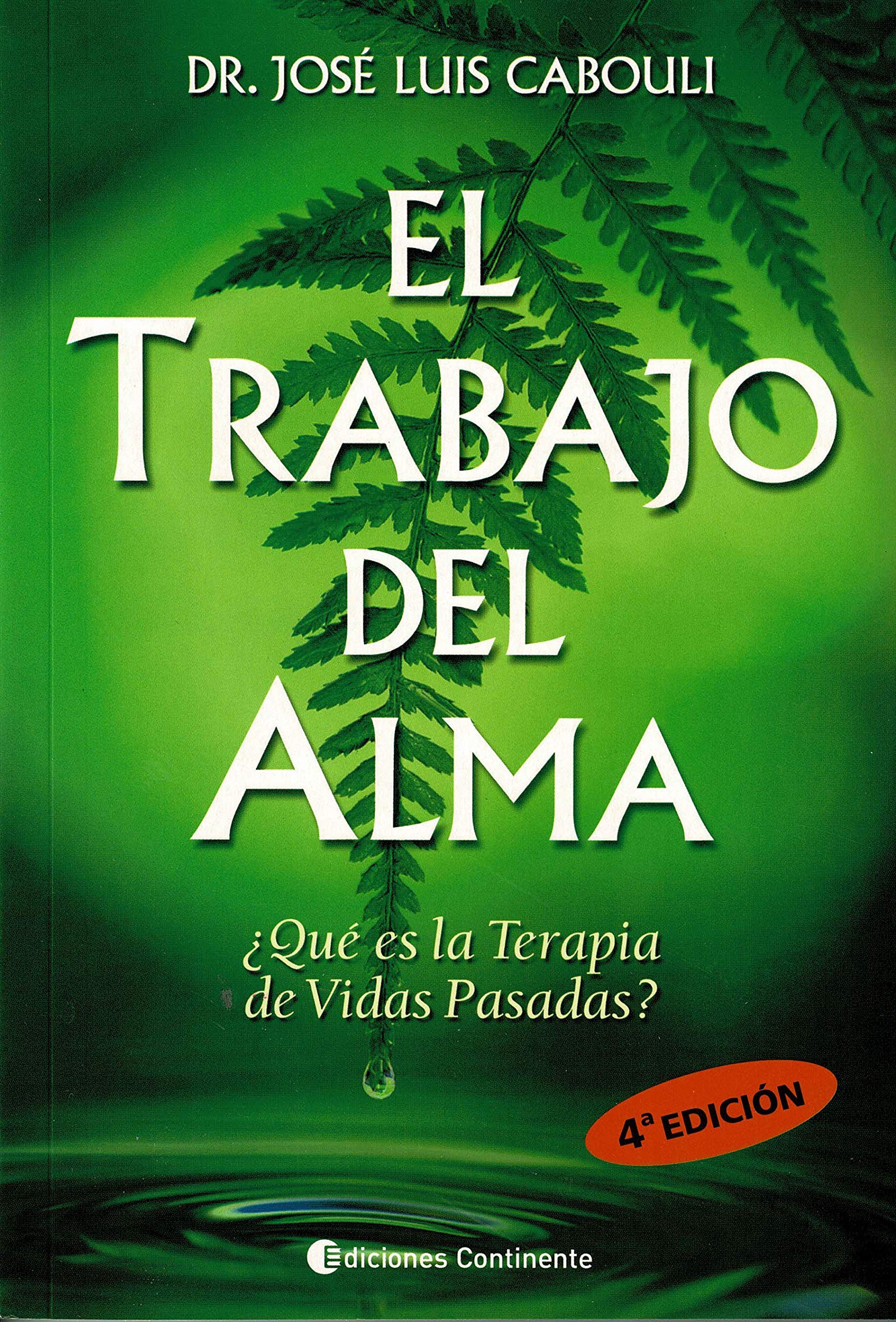 Libro: El Trabajo Del Alma (4ªED): Que Es la Terapia de Vidas Pasadas?